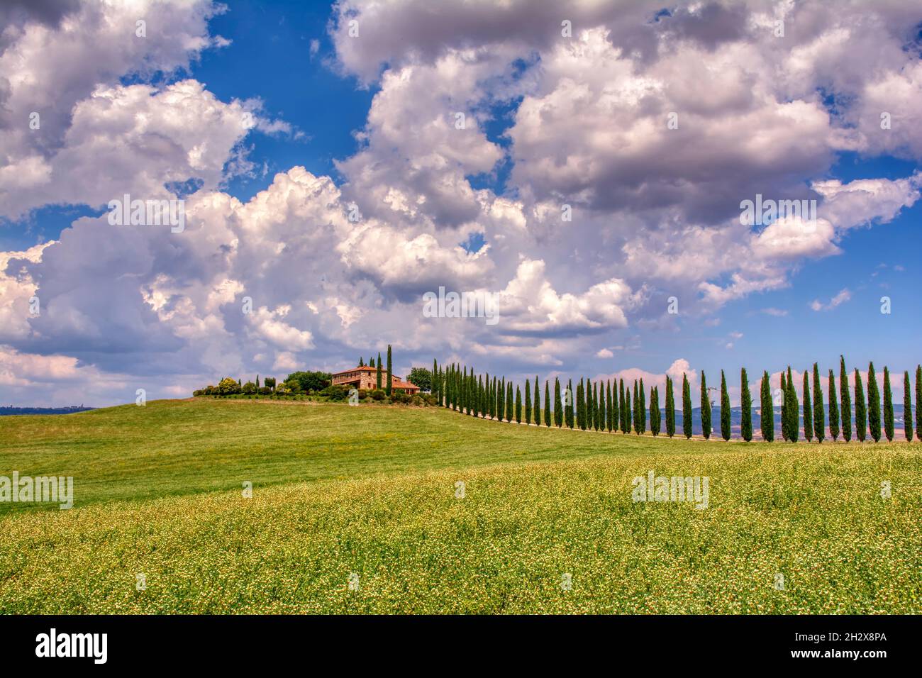 Toscana, Italia - Luglio 6, 2018: cipressi e prato con tipica casa toscana, Val d'Orcia, Italia - Toscana Foto Stock