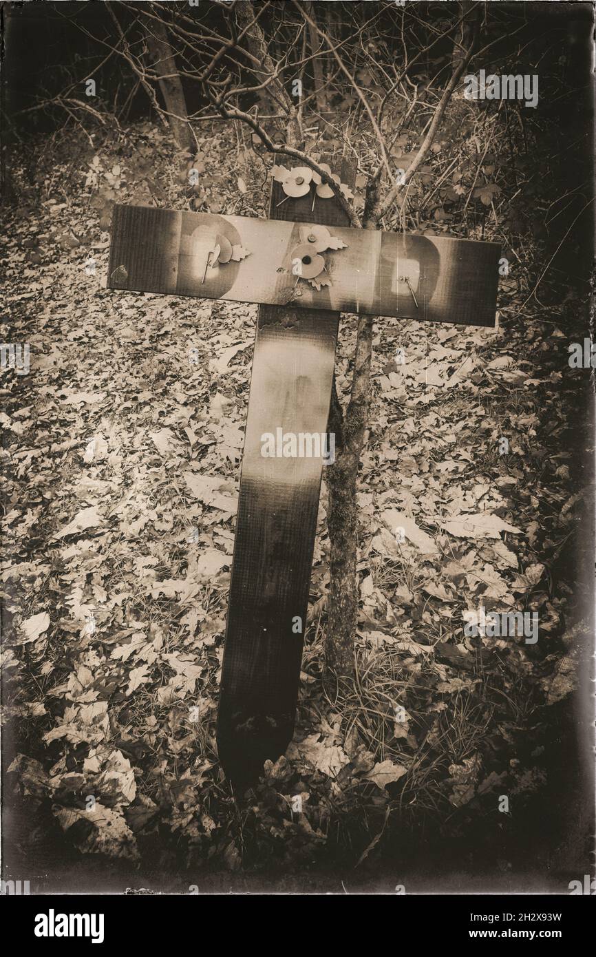 Croce di legno con papà visualizzata con papaveri in un'annata sfumata tonalità seppia Foto Stock