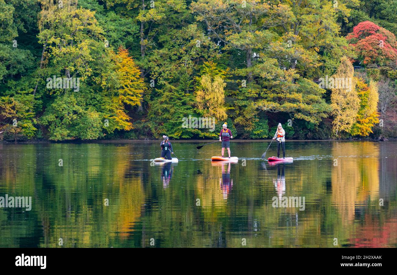 Pitlochry, Scozia, Regno Unito. 24 ottobre 2021. Tre pedalò sul Loch Faskally godere la tranquillità dei loro dintorni, come i colori luminosi autunno della foresta circostante si riflettono nell'acqua. Iain Masterton/Alamy Live News. Foto Stock