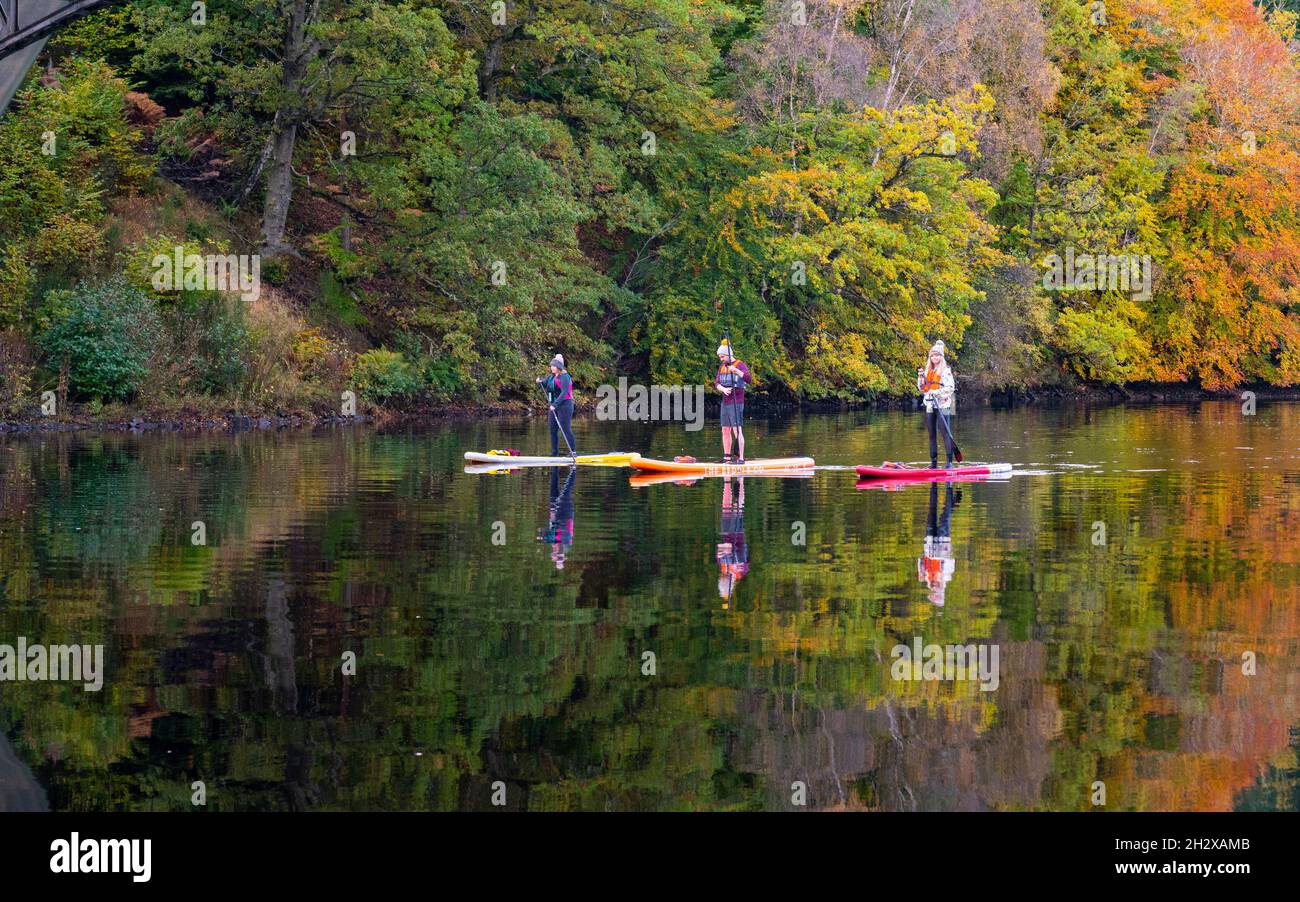 Pitlochry, Scozia, Regno Unito. 24 ottobre 2021. Tre pedalò sul Loch Faskally godere la tranquillità dei loro dintorni, come i colori luminosi autunno della foresta circostante si riflettono nell'acqua. Iain Masterton/Alamy Live News. Foto Stock