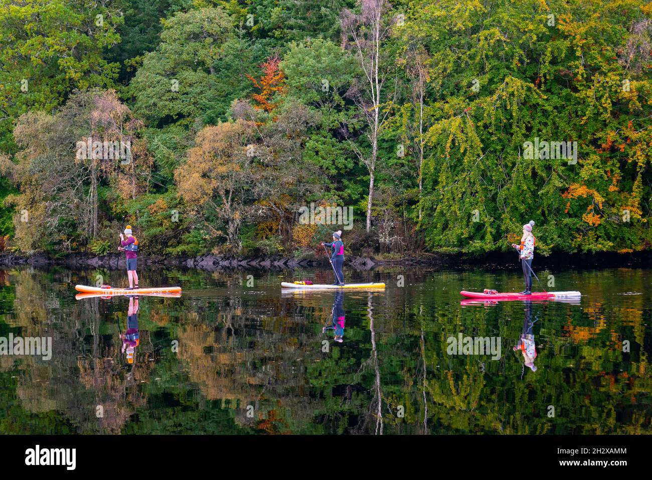 Pitlochry, Scozia, Regno Unito. 24 ottobre 2021. Tre pedalò sul Loch Faskally godere la tranquillità dei loro dintorni, come i colori luminosi autunno della foresta circostante si riflettono nell'acqua. Iain Masterton/Alamy Live News. Foto Stock