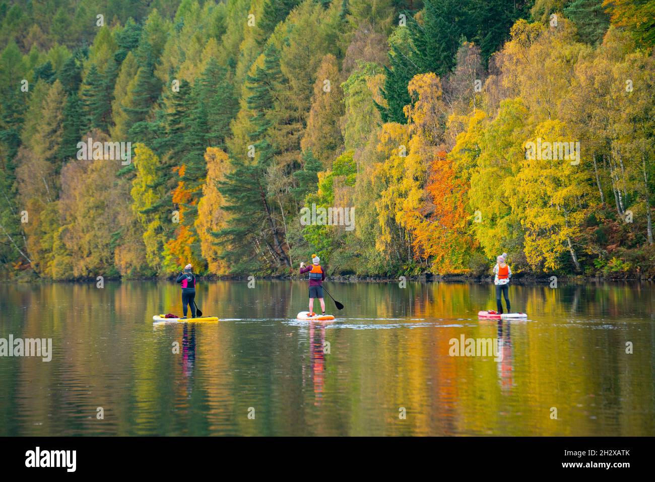 Pitlochry, Scozia, Regno Unito. 24 ottobre 2021. Tre pedalò sul Loch Faskally godere la tranquillità dei loro dintorni, come i colori luminosi autunno della foresta circostante si riflettono nell'acqua. Iain Masterton/Alamy Live News. Foto Stock