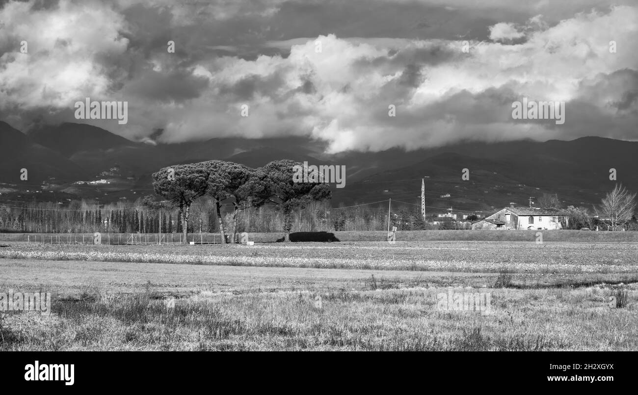 lontano paesaggio montano con verde e giallo Foto Stock