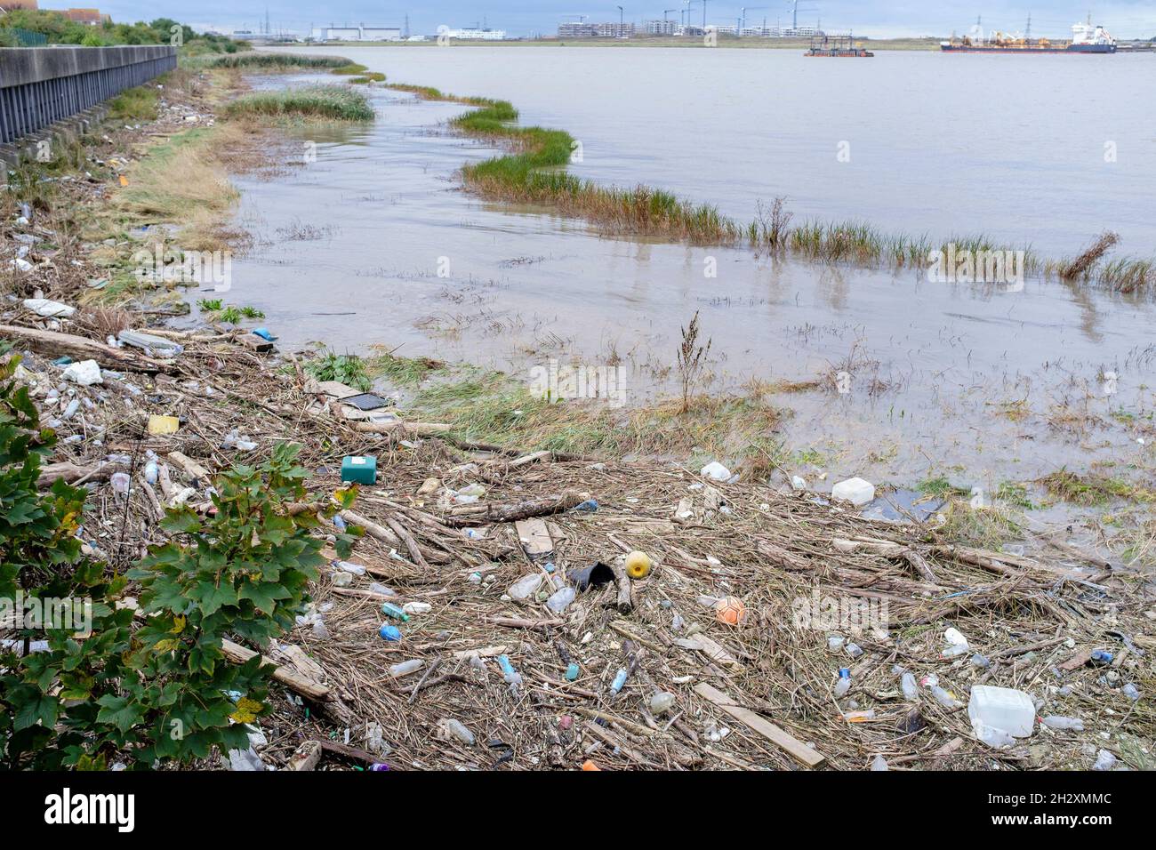 Inquinamento da rifiuti di plastica, River Thames, East London, UK Foto Stock