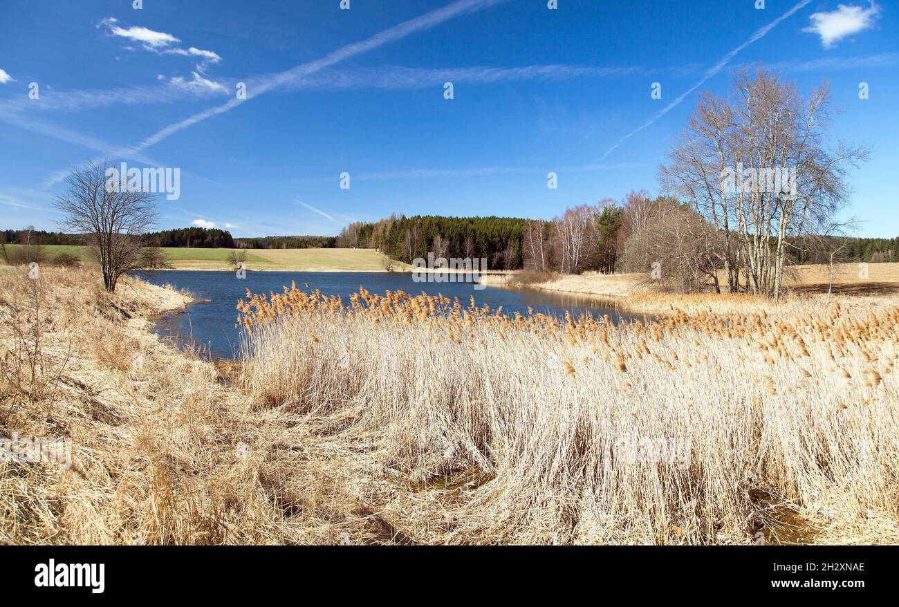 Vista autunnale del laghetto, Boemia e Moravia, Repubblica Ceca Foto Stock