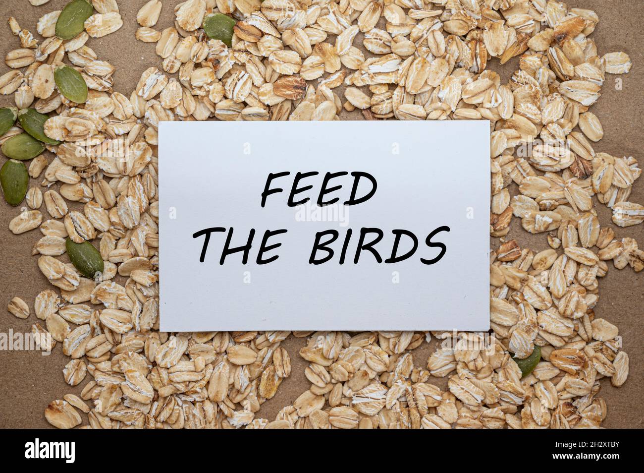 Feed il concetto di uccelli. Vista dall'alto della scheda con il testo alimentare gli uccelli su avena e semi sfondo. Foto Stock