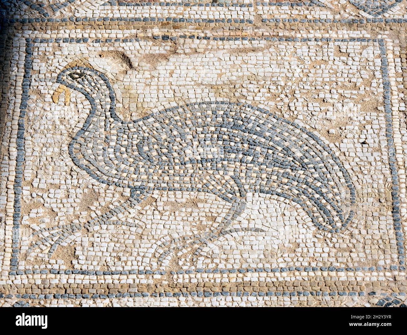 Mosaico del pavimento raffigurante un uccello nella Casa di Eustolio, Kourion, Repubblica di Cipro Foto Stock