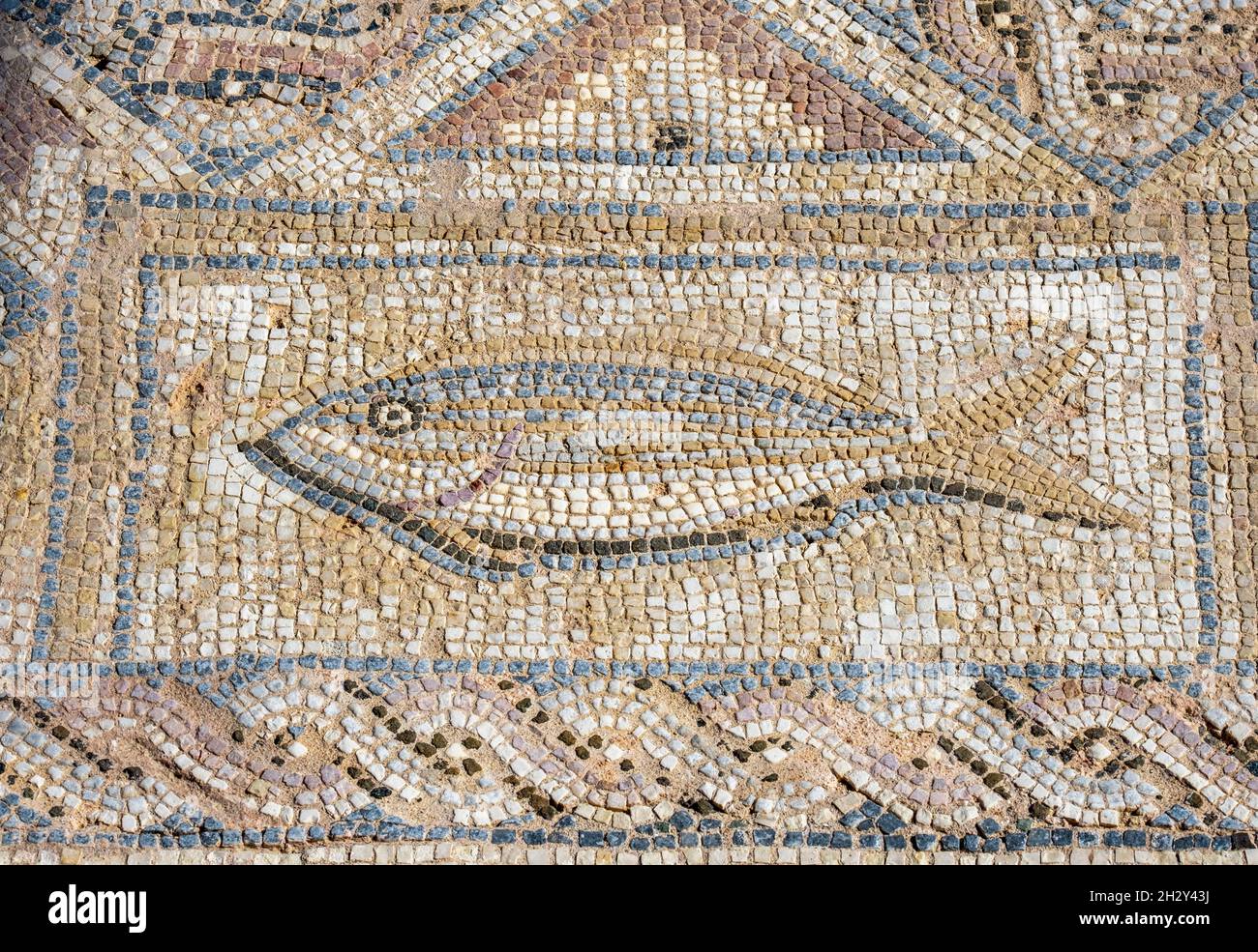 Pesce mosaico romano pavimento nella Casa di Eustolio, Kourion, Repubblica di Cipro Foto Stock