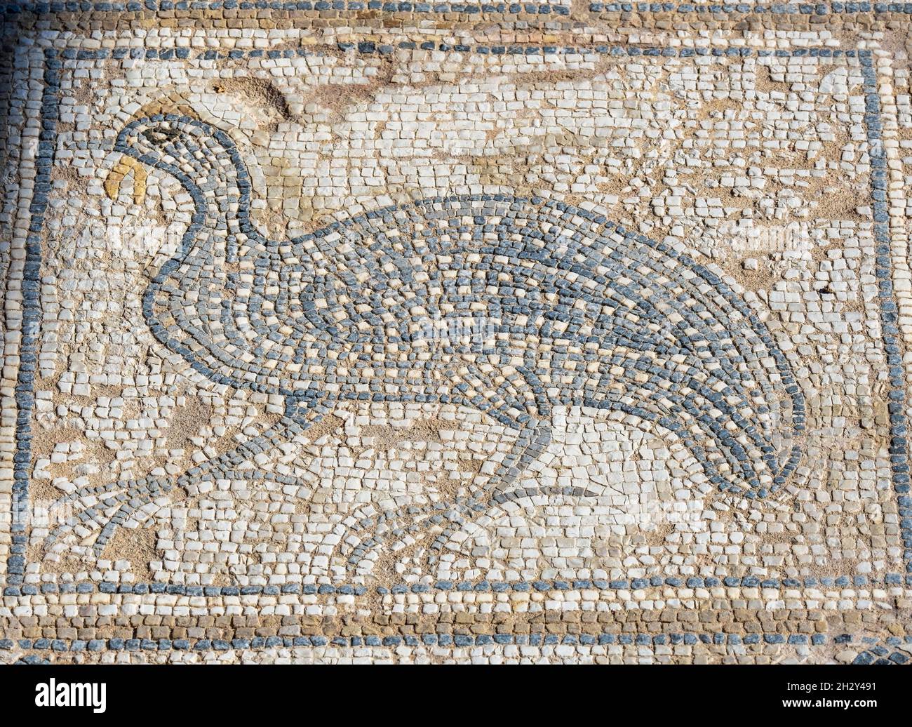 Mosaico del pavimento raffigurante un uccello nella Casa di Eustolio, Kourion, Repubblica di Cipro Foto Stock