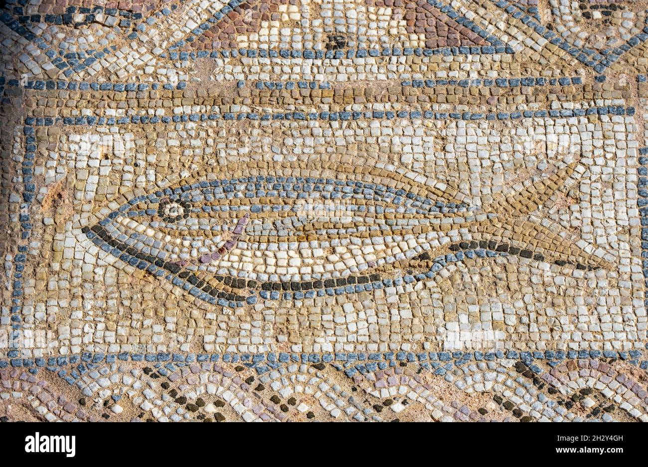Pesce mosaico romano pavimento nella Casa di Eustolio, Kourion, Repubblica di Cipro Foto Stock