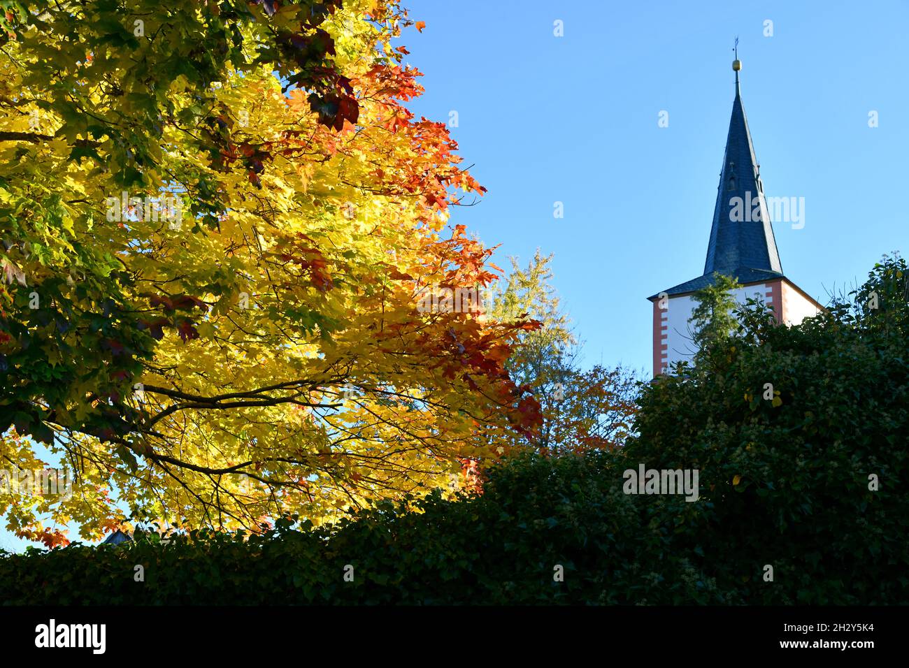 colorato albero deciduo di fronte alla chiesa di ofa Foto Stock