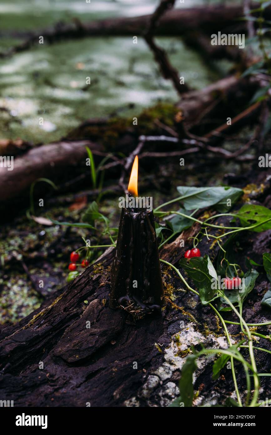 Concetto occulto, esoterico, divinazione e wicca. Halloween sfondo vintage Foto Stock