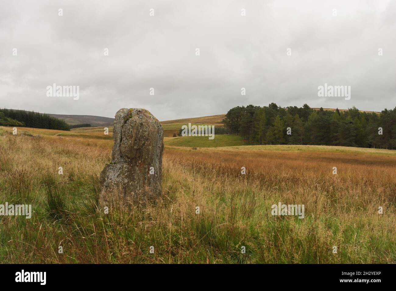 Il Cateran Trail è una passeggiata circolare lunga distanza di 64 miglia nel Perthshire. Inizia e termina a Blairgowrie ed è molto ben segnato. La foto Foto Stock