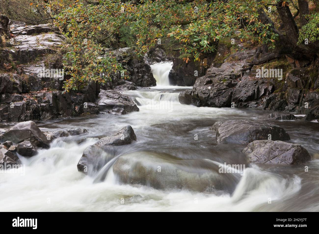 La cascata di Galleny Force nella valle di Stonethwaite, nel Lake District inglese Foto Stock