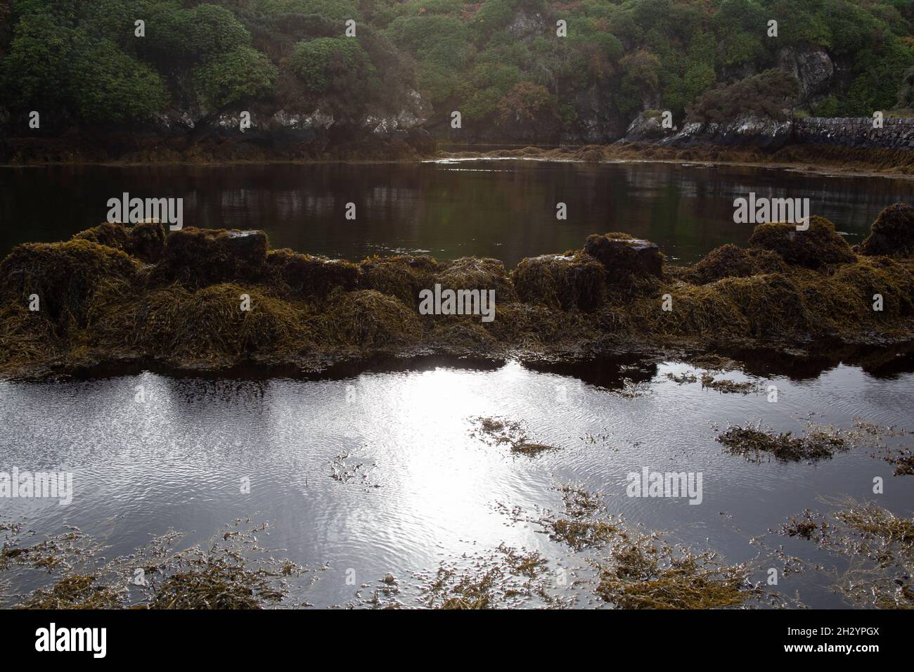 Piccola baia sul sentiero costiero nei giardini del castello di Lews, Stornoway, Isola di Lewis, Ebridi esterne, Scozia, REGNO UNITO Foto Stock