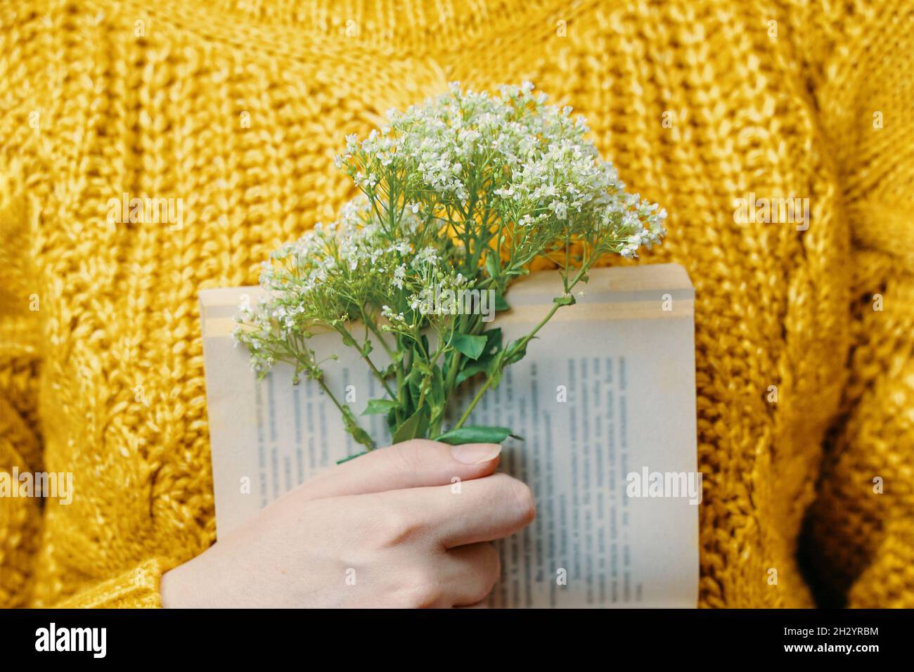 Bouquet in mano di donna su sfondo di libro aperto e maglione a maglia. Primo piano. Ragazza con libro e fiori selvatici. Concetto romantico. Foto Stock