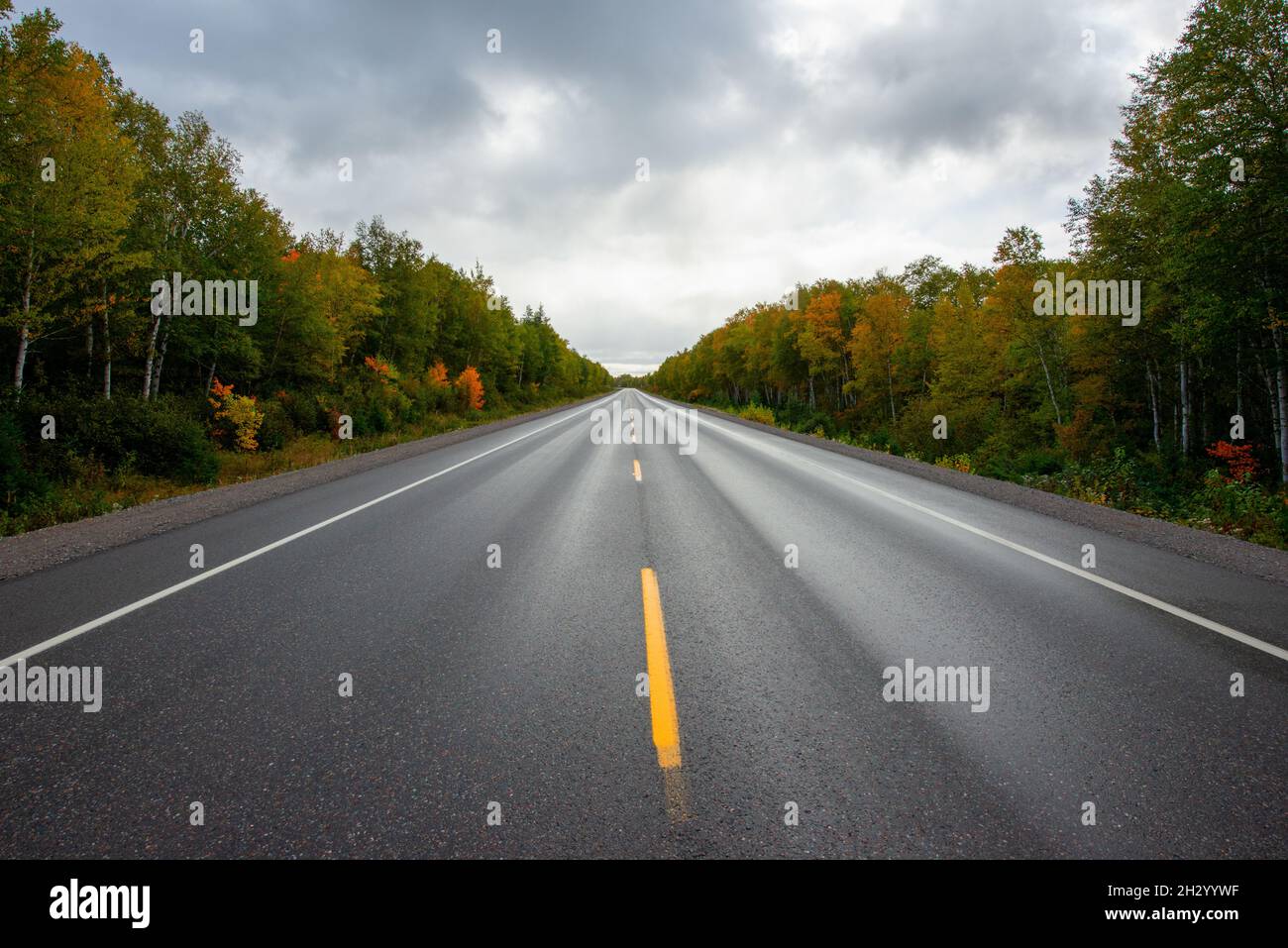 Una strada a due corsie di asfalto nero umido scuro con una singola linea gialla in fondo al centro. Ci sono alberi autunnali colorati su entrambi i lati. C'è un cielo blu Foto Stock