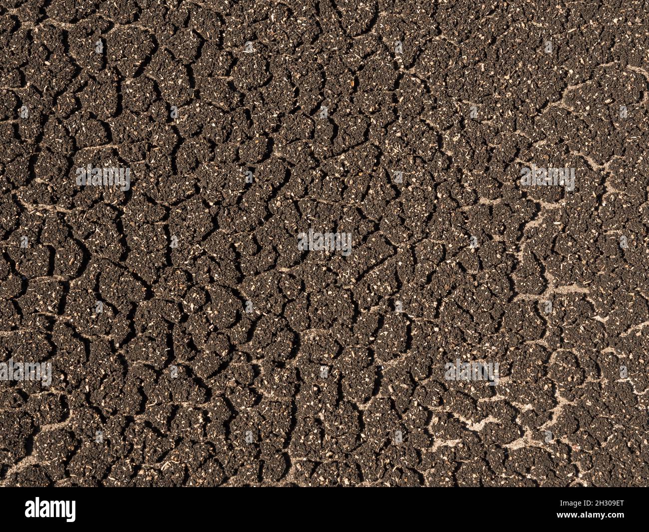 Marrone spaccato secco suolo terra sfondo, vista dall'alto. Fondo del pavimento spaccato. Dryland. Riscaldamento globale. Effetto calore globale. Foto Stock