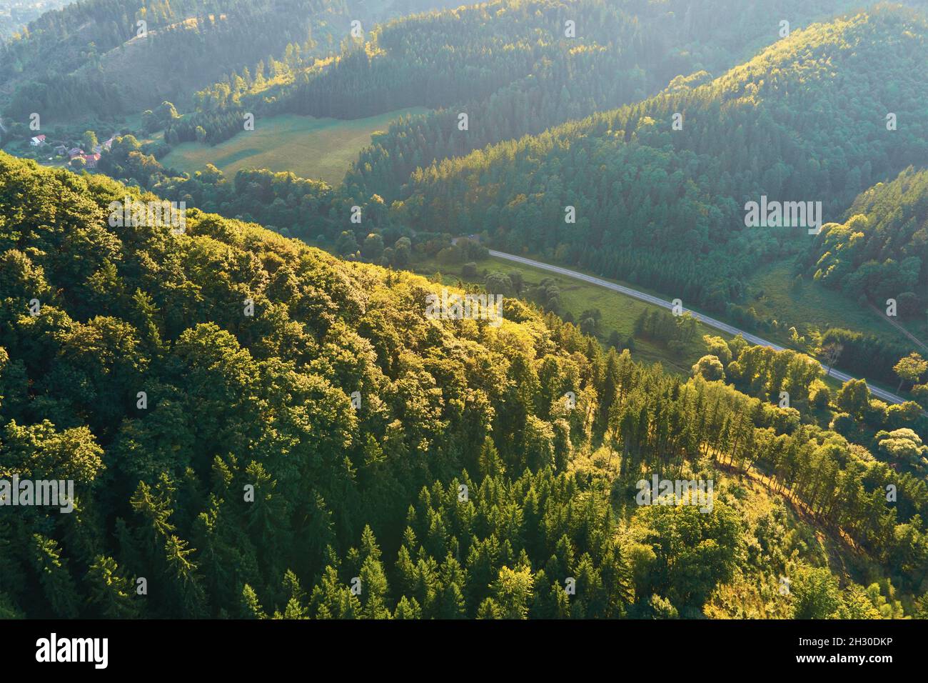 Sfondo di montagna. Splendida alba sulle montagne della foresta. Paesaggio naturale Foto Stock