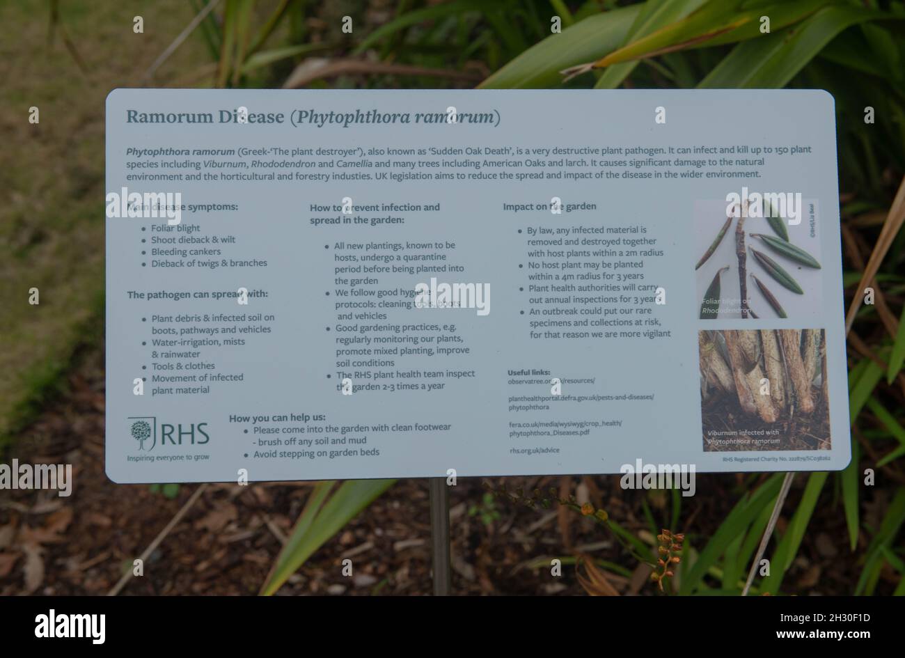Royal Horticultural Society avvertimento segno dei pericoli della malattia di ramorum (Phytophthora ramorum) nel giardino a RHS Rosemoor in Devon Foto Stock