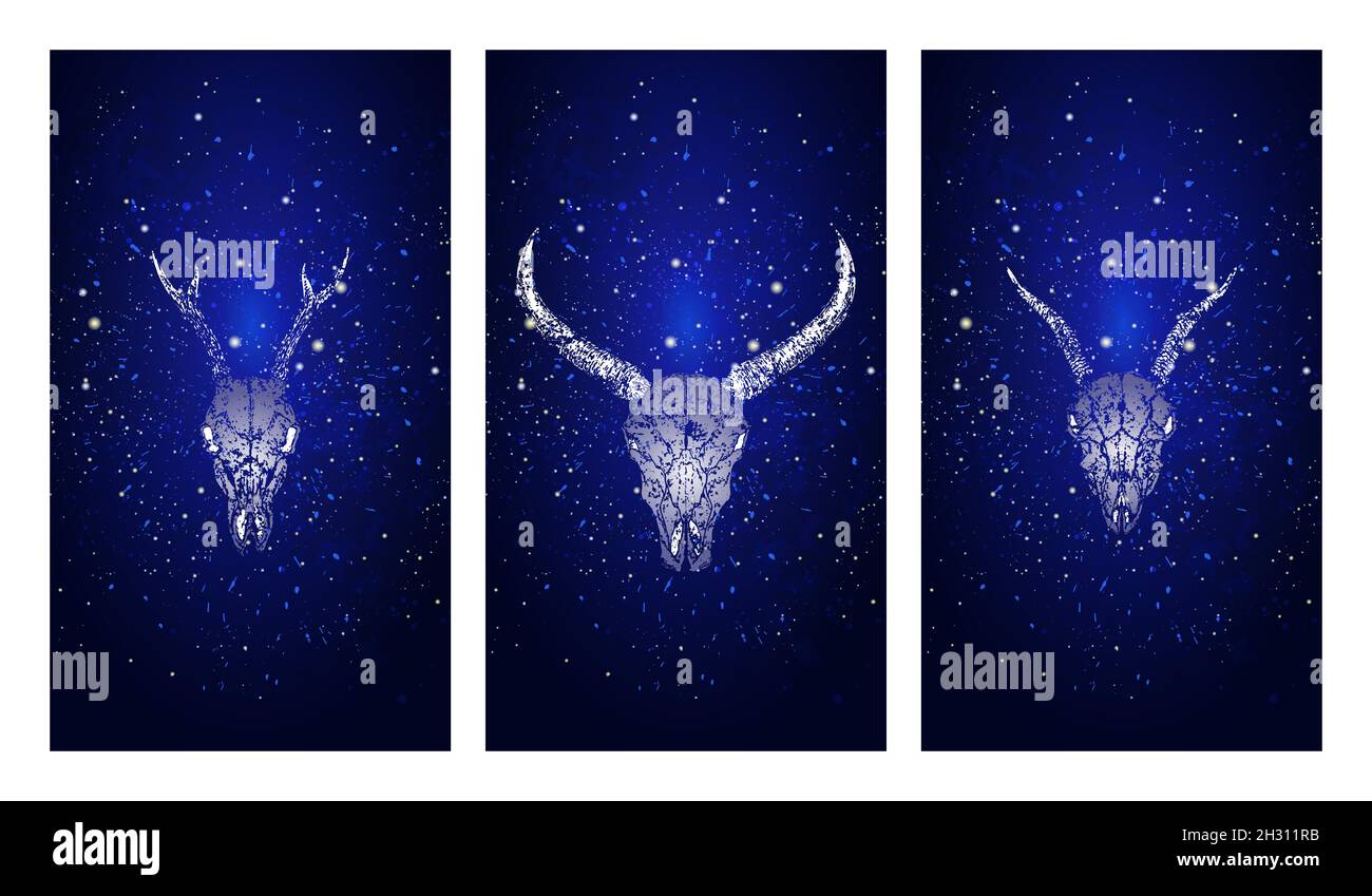 Set vettoriale di tre illustrazioni con silhouette teschi capriolo, bufalo selvatico e capra su sfondo blu stellato cielo. Di colore blu. Per voi progettazione Illustrazione Vettoriale