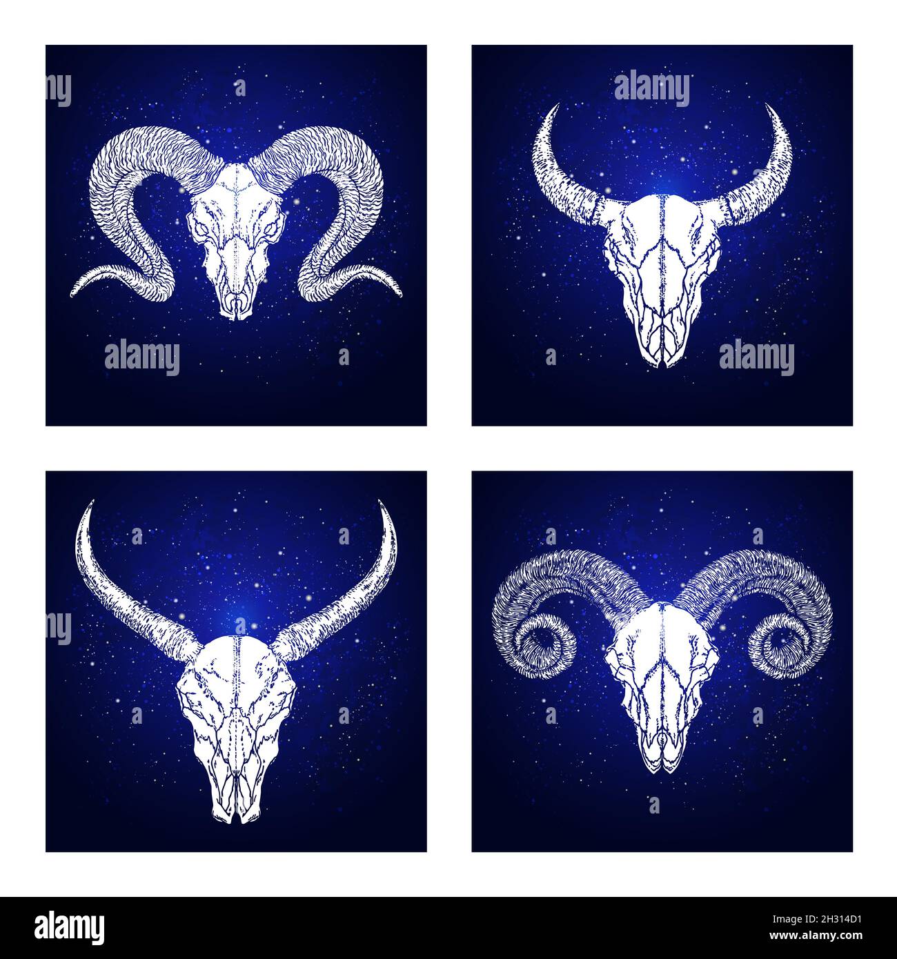 Set vettoriale di quattro illustrazioni con teschi disegnati a mano bufalo selvatico, toro e arieti su sfondo blu astratto. Per voi disegno, stampa, tatuaggio o magi Illustrazione Vettoriale