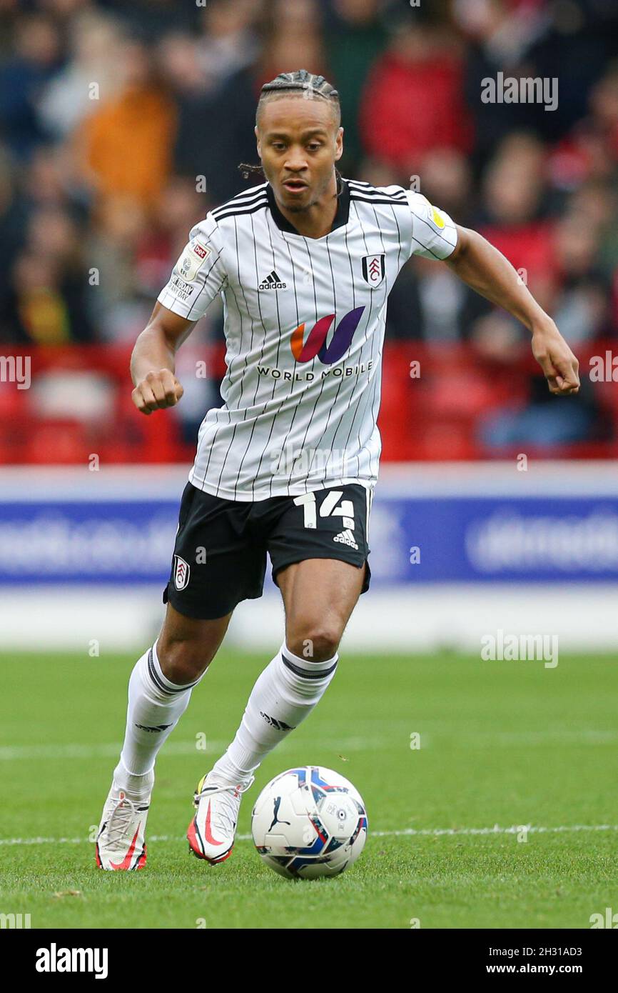 Nottingham, Inghilterra, 24 ottobre 2021. Bobby Reid di Fulham durante la partita del campionato Sky Bet al City Ground, Nottingham. Il credito dovrebbe essere: Isaac Parkin / Sportimage Foto Stock