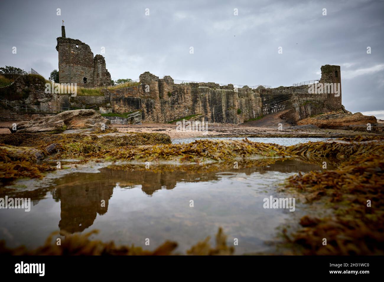 Edimburgo, Scozia, St Andrews CASTLE a Fife Foto Stock