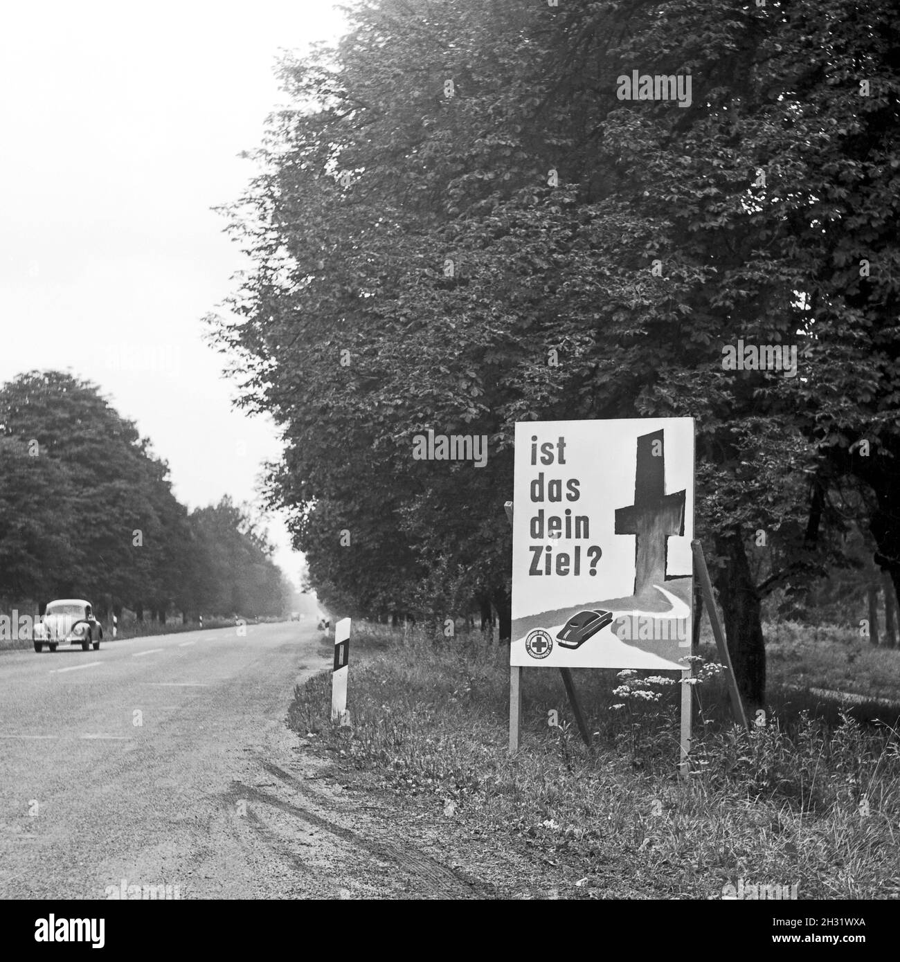 Warnschild 'IST das Dein Ziel ?' Am Straßenrand in Baviera, Germania 1959. Cartello stradale in Baviera, Germania 1959. Foto Stock