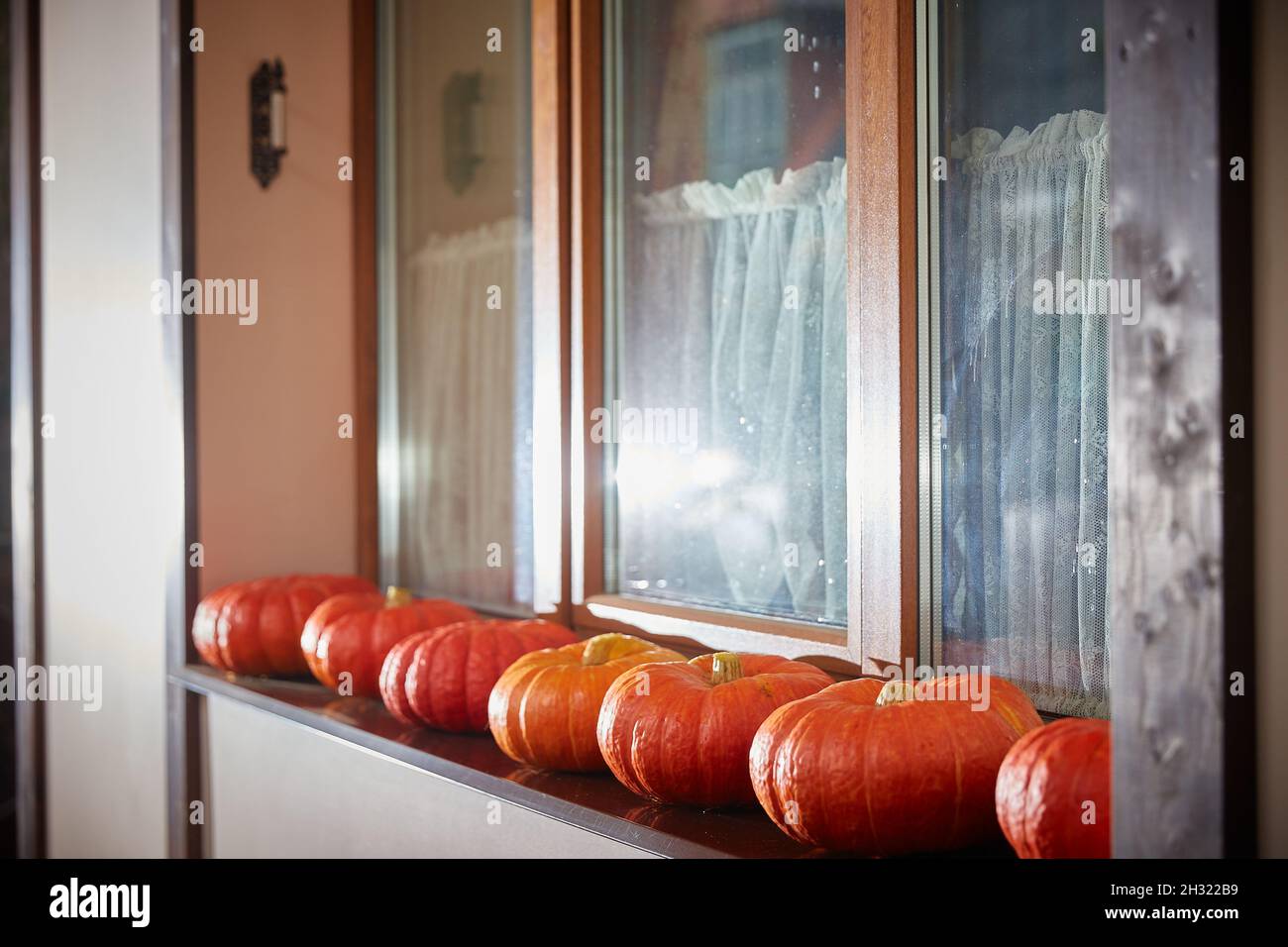 Concetto di Halloween. Sulla finestra della casa giacciono molte zucche. Decorazioni per la festa di Halloween. Foto Stock