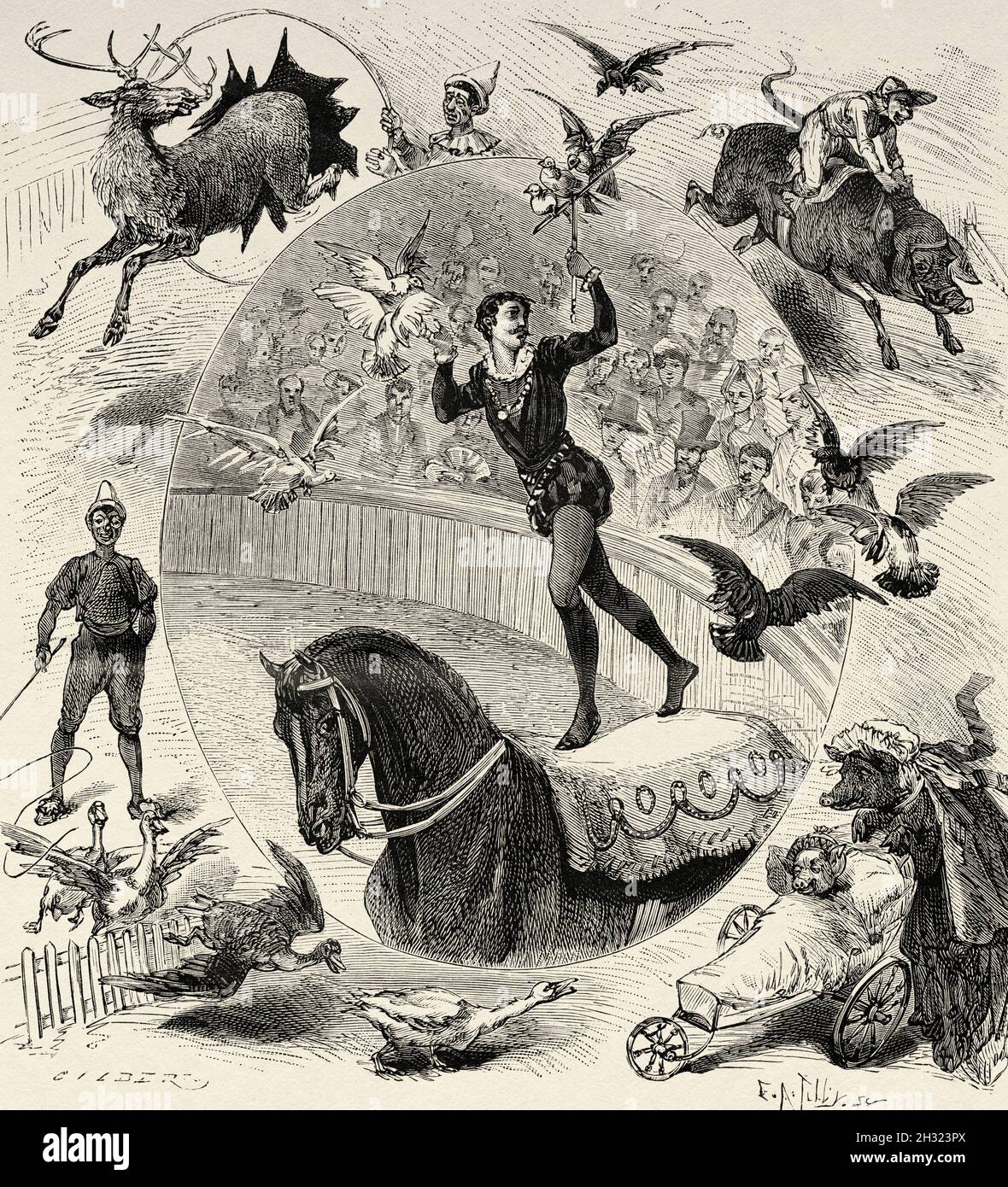 Il cervo, le oche e i piccioni del Cirque d'Hiver, i maiali e la scimmia delle Folies-Bergeres. Parigi, Francia. Europa. Antica illustrazione del 19 ° secolo inciso da la Nature 1883 Foto Stock