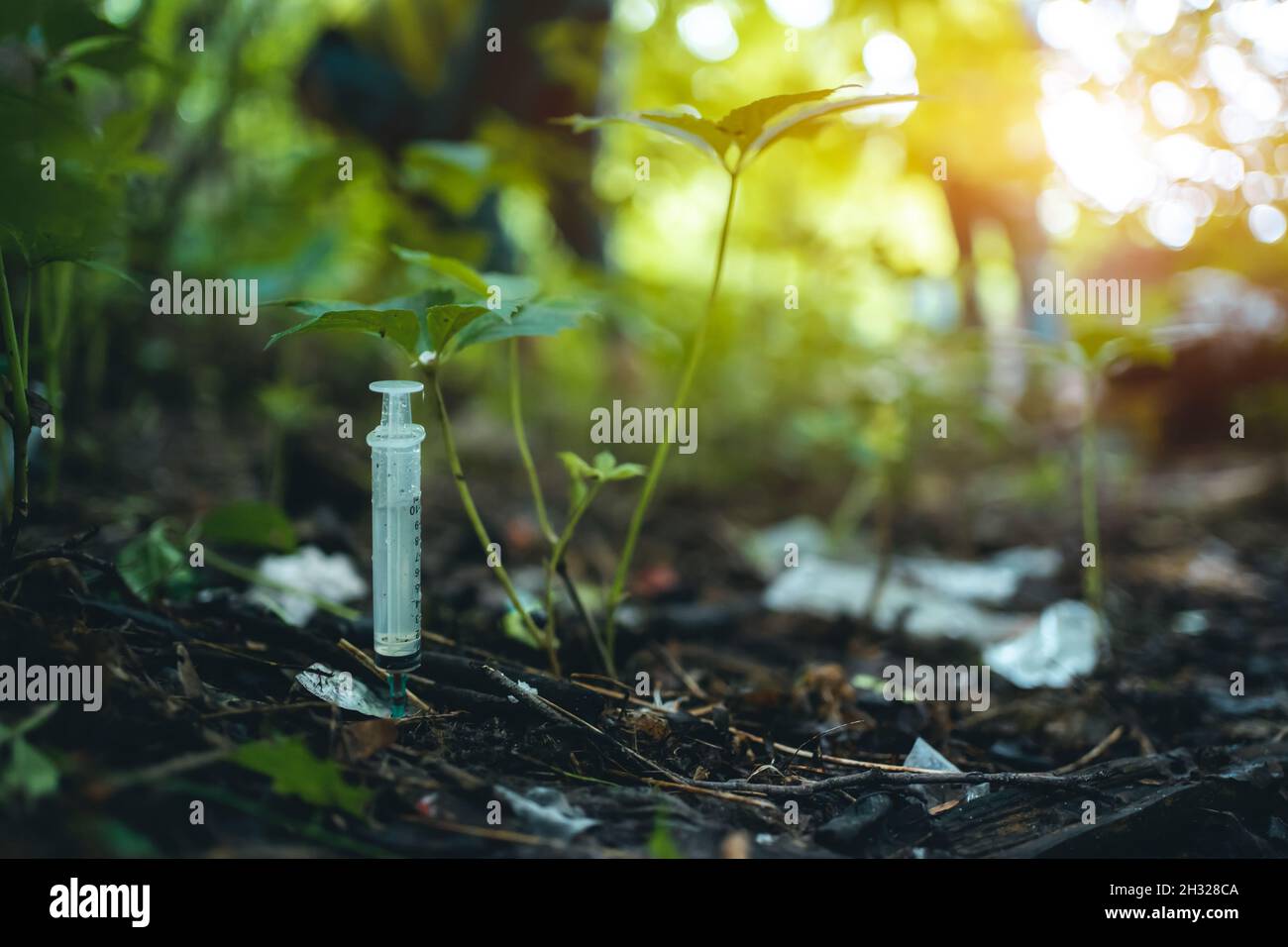 volontariato pulizia parco da siringa usata da junkies tossicodipendenti Foto Stock