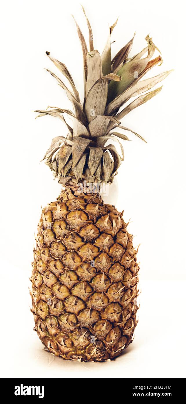Gelbe Ananas mit weissem hintergrund Foto Stock