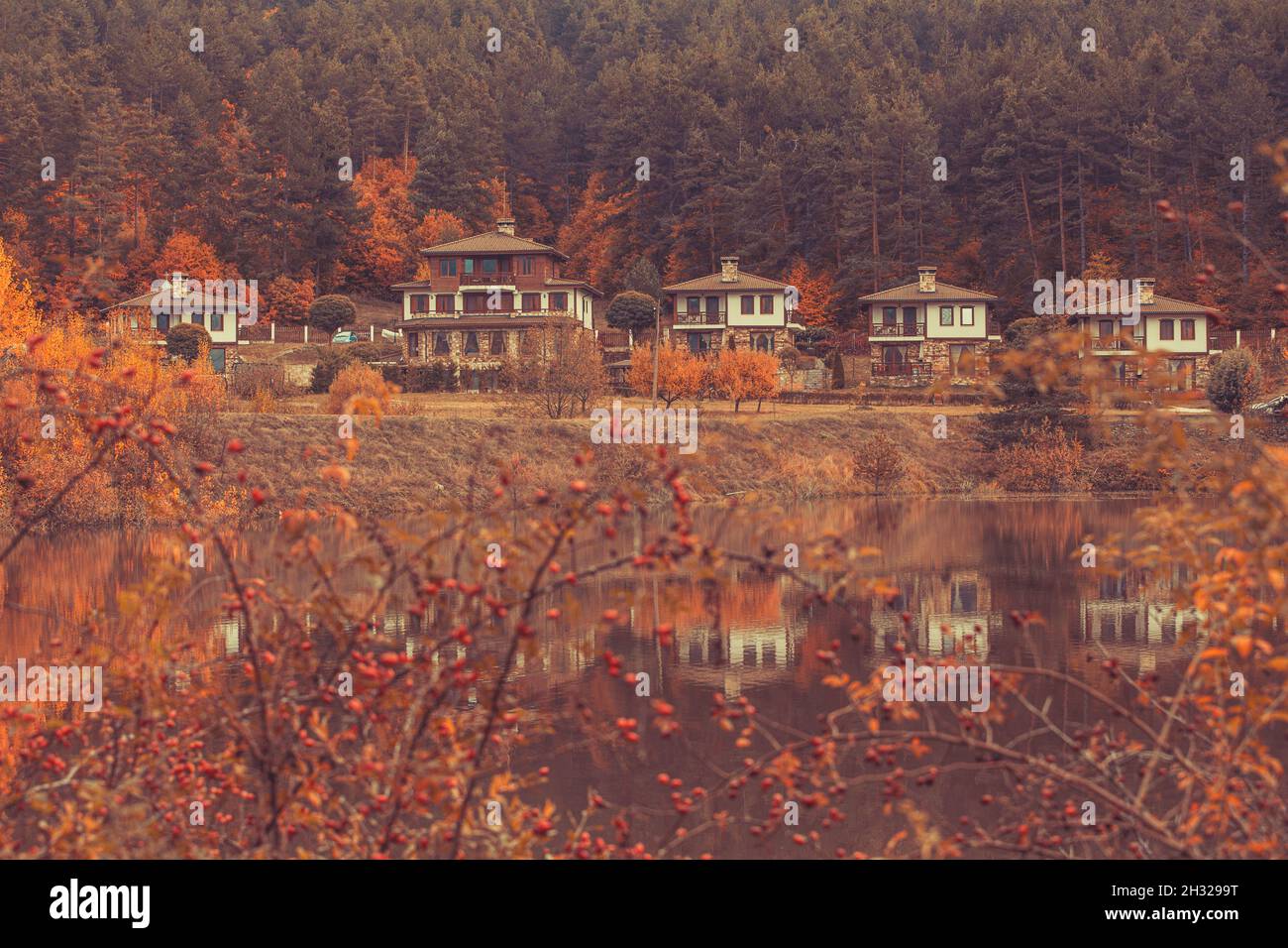 Paesaggio autunnale con lago e case, colori arancio, rosa anca, Bulgaria Foto Stock