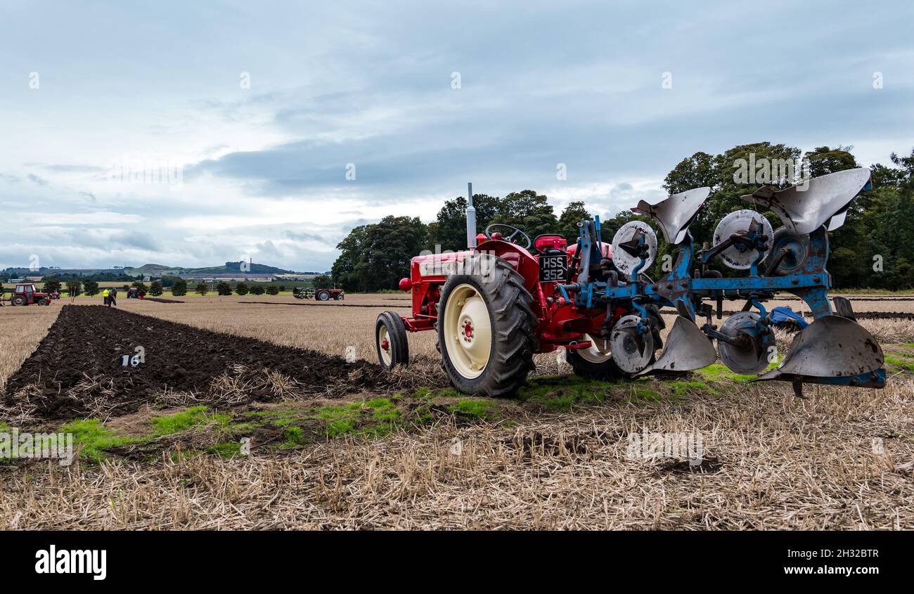 Trattore Vintage International con solchi in aratura in stoppia campo, East Lothian, Scozia, Regno Unito Foto Stock