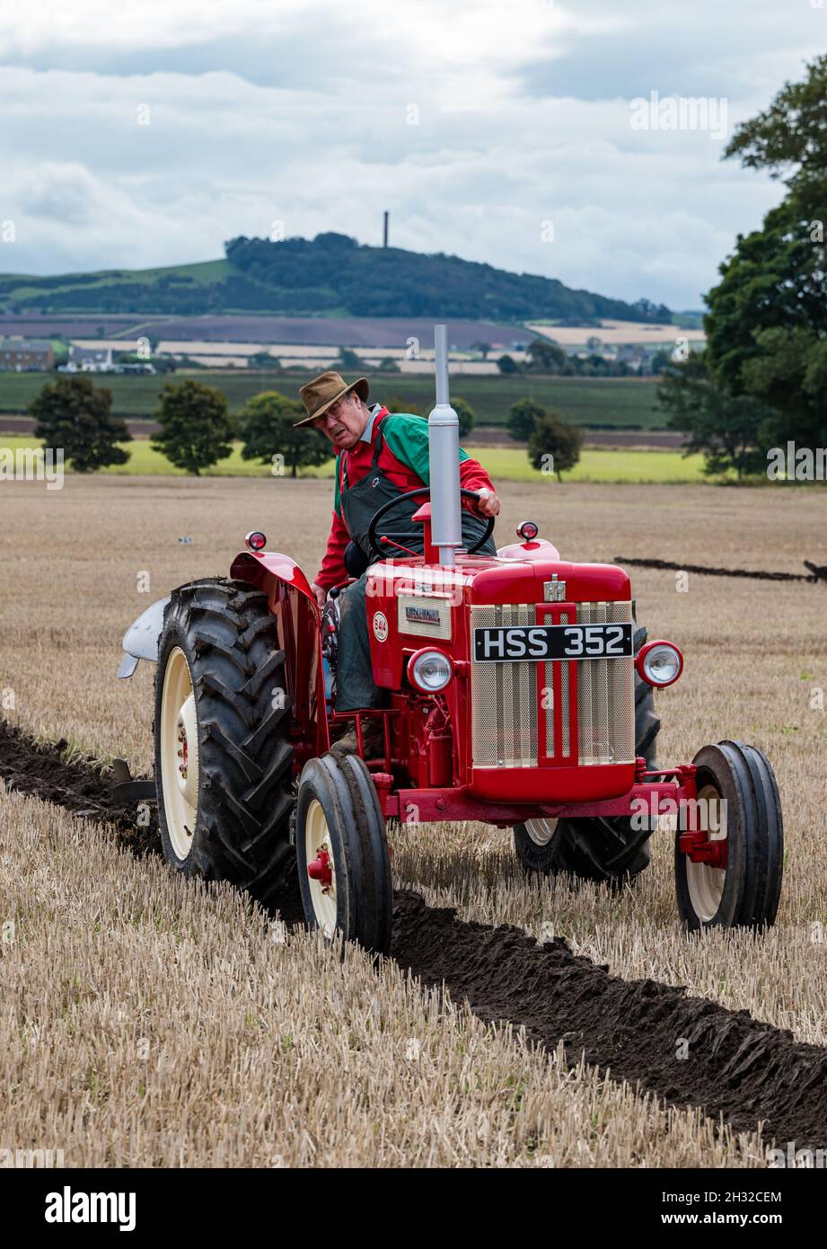 Man Driving Vintage trattore internazionale in aratura match in campo stoppia, East Lothian, Scozia, Regno Unito Foto Stock