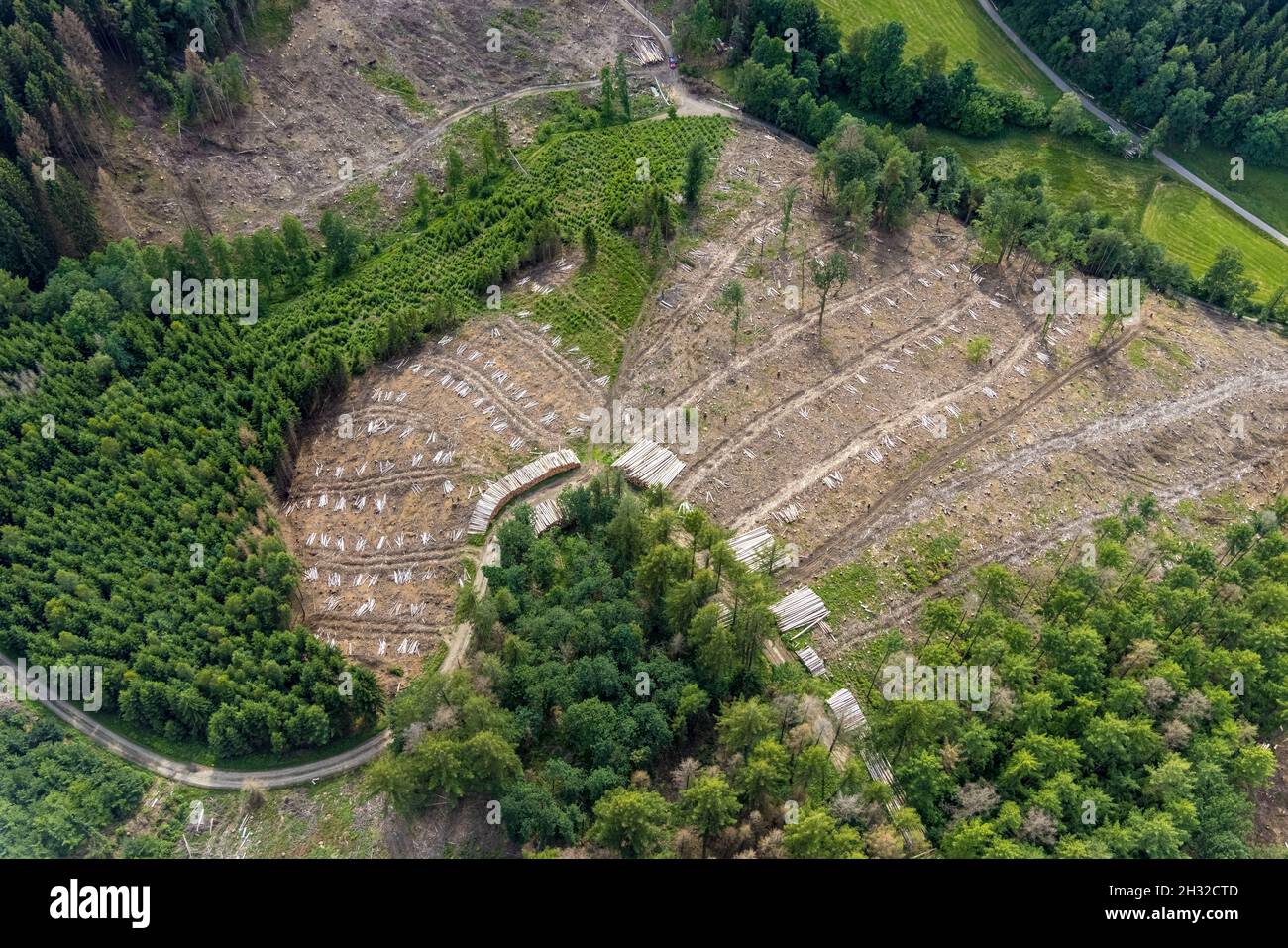 Fotografia aerea, zona forestale di Hünkesohl con danni alla foresta nei pressi di Wormberg, Drolshagen, Sauerland, Renania settentrionale-Vestfalia, Germania, albero morte, abbaia essere Foto Stock