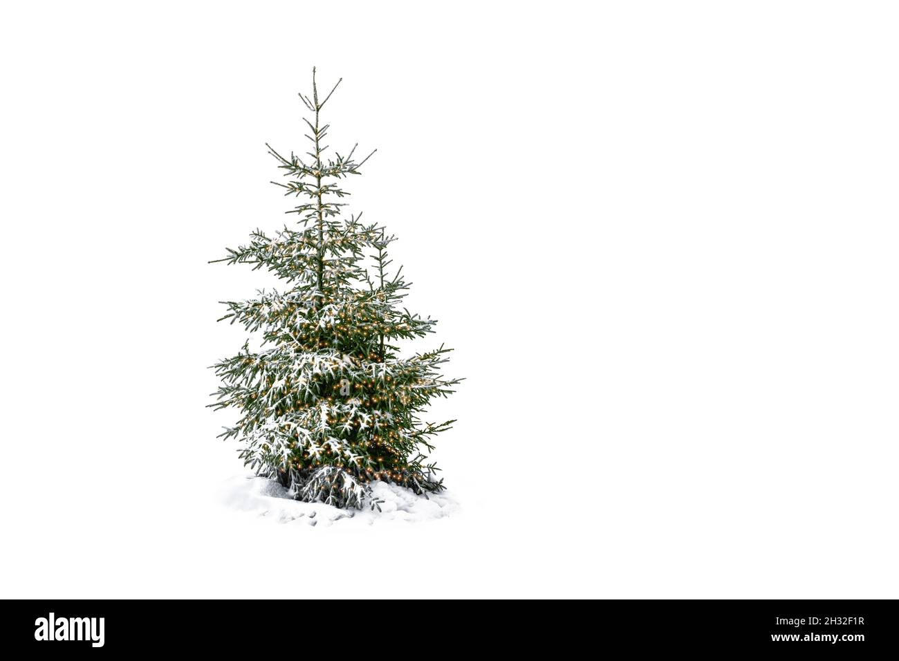 Albero di Natale illuminato nella neve isolato su sfondo bianco. Foto Stock