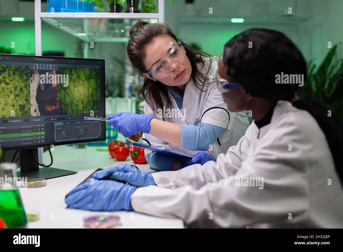 Gruppo multietnico di biologi ricercatore monitoraggio piante geneticamente modificato esperienza sul computer che lavora in laboratorio ospedaliero, diversi chimici che esaminano il test ogm in laboratorio Foto Stock