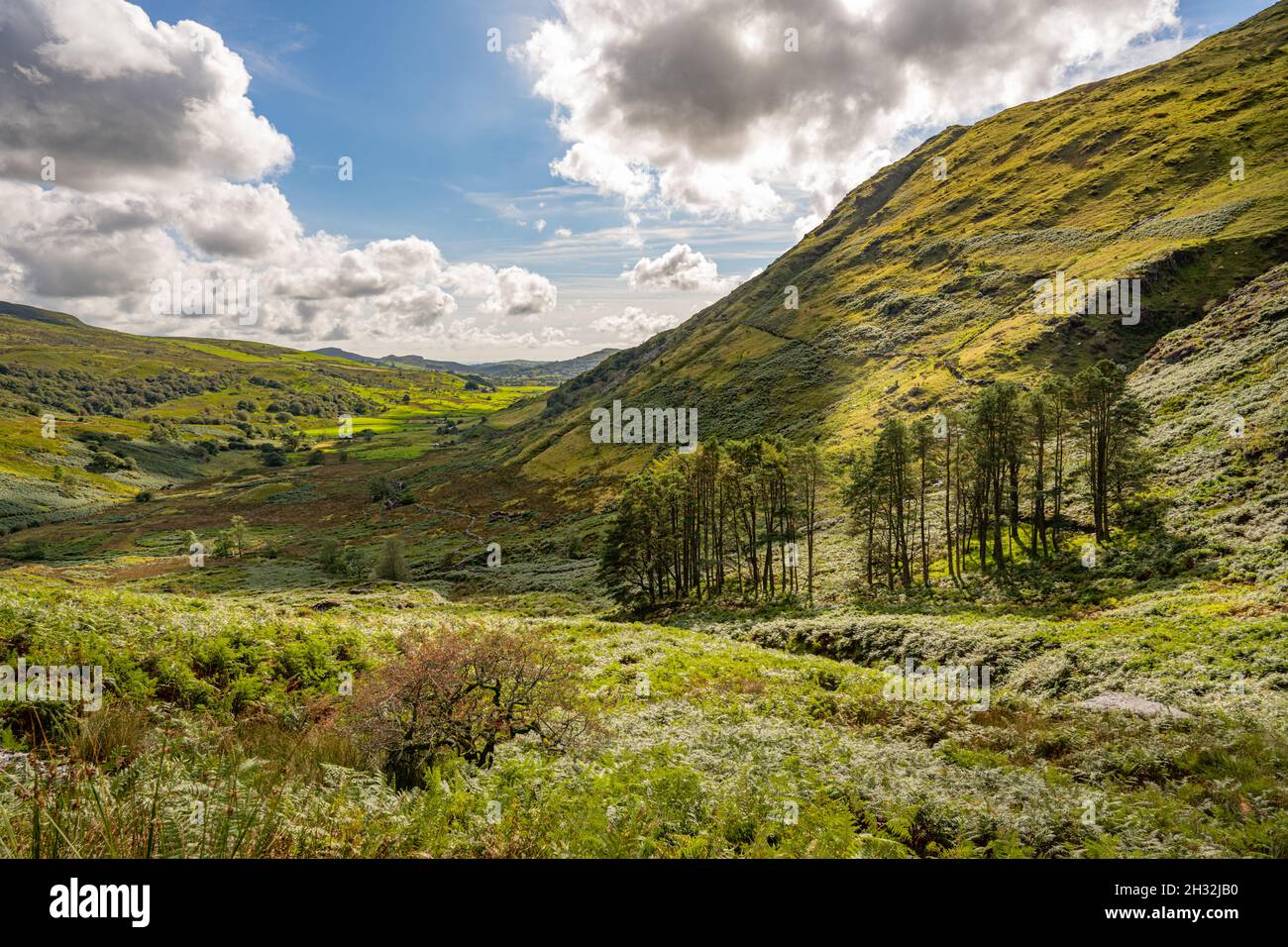 Guardando verso il basso CWM Pennant ai margini del Parco Nazionale di Snowdonia Foto Stock