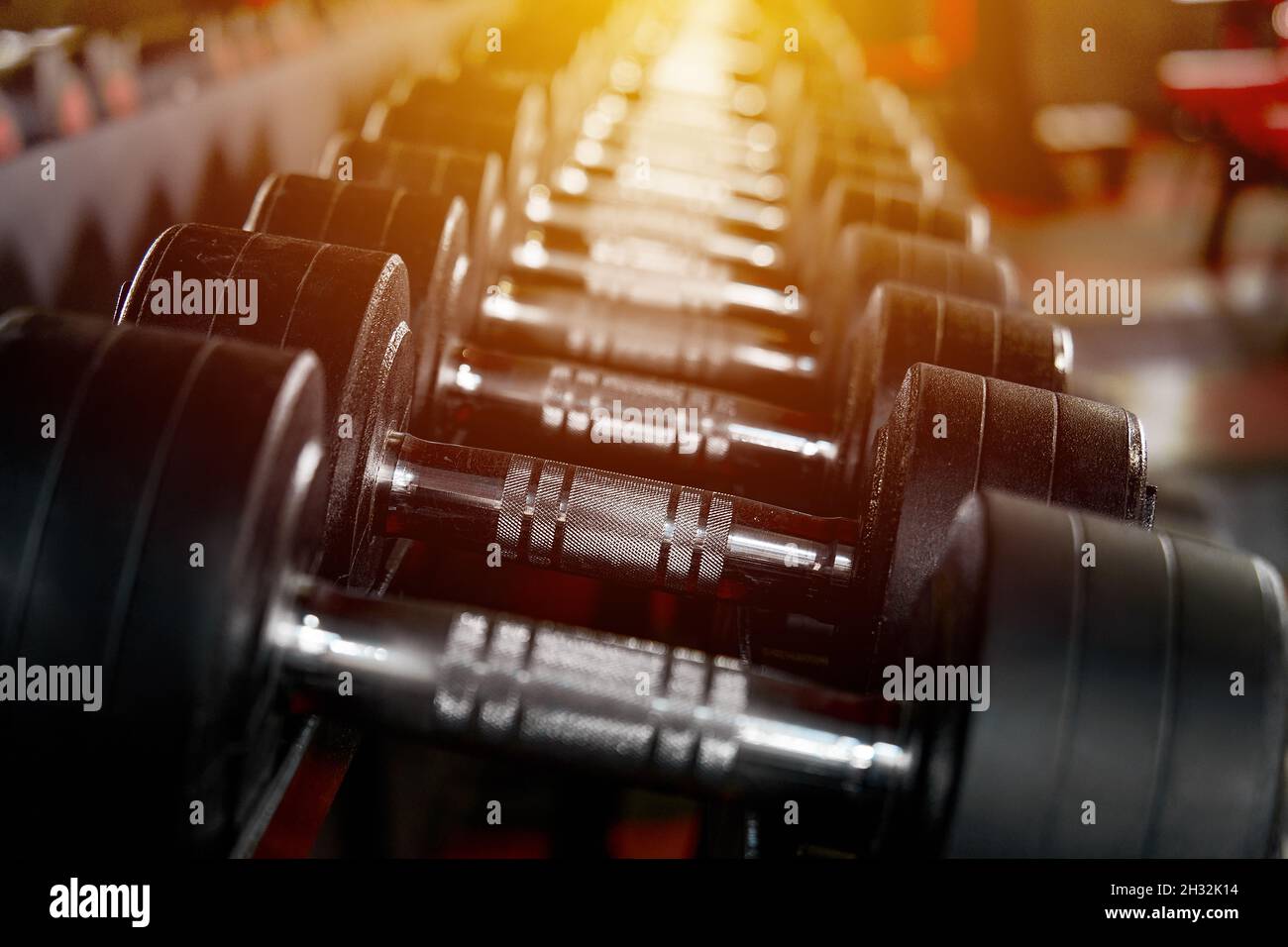 Rack con molti diversi formati di manubri in palestra. Zona pesi liberi. La luce del sole entra nella finestra. Sfocatura della messa a fuoco. Spazio di copia Foto Stock