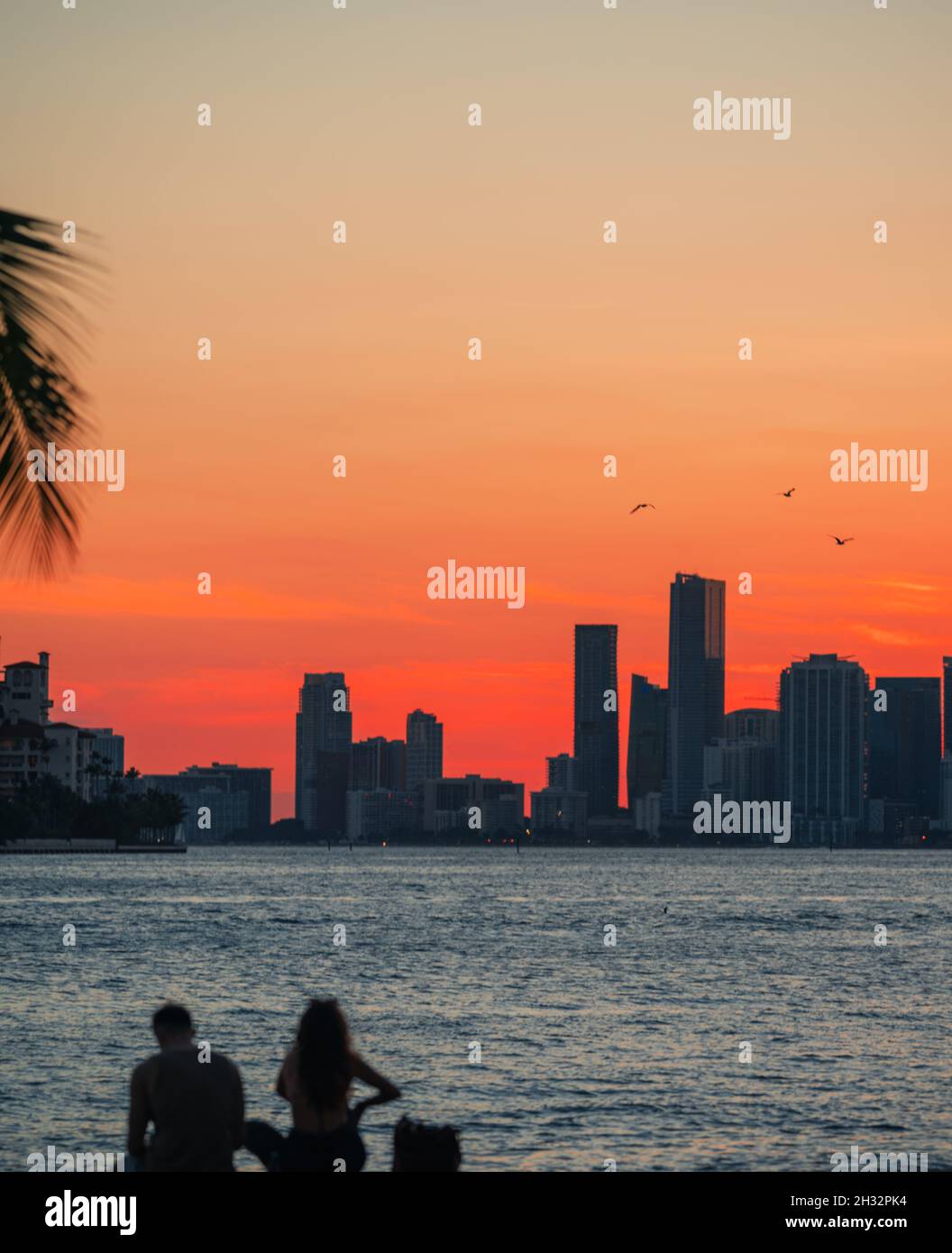 Tramonto Miami Florida edifici People cielo Foto Stock