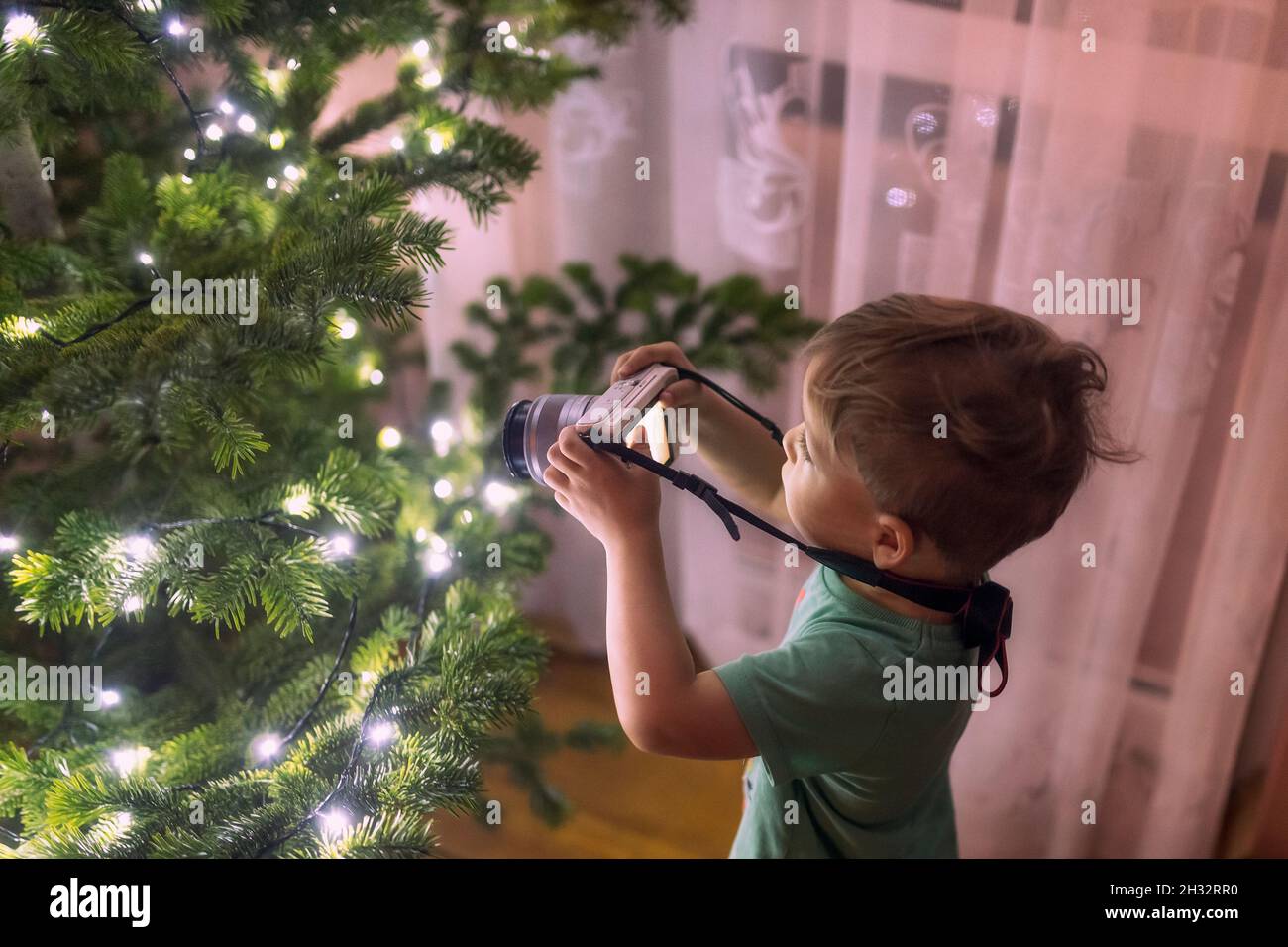 bambino piccolo che scatta le foto con la macchina fotografica di un albero di crestmass Foto Stock