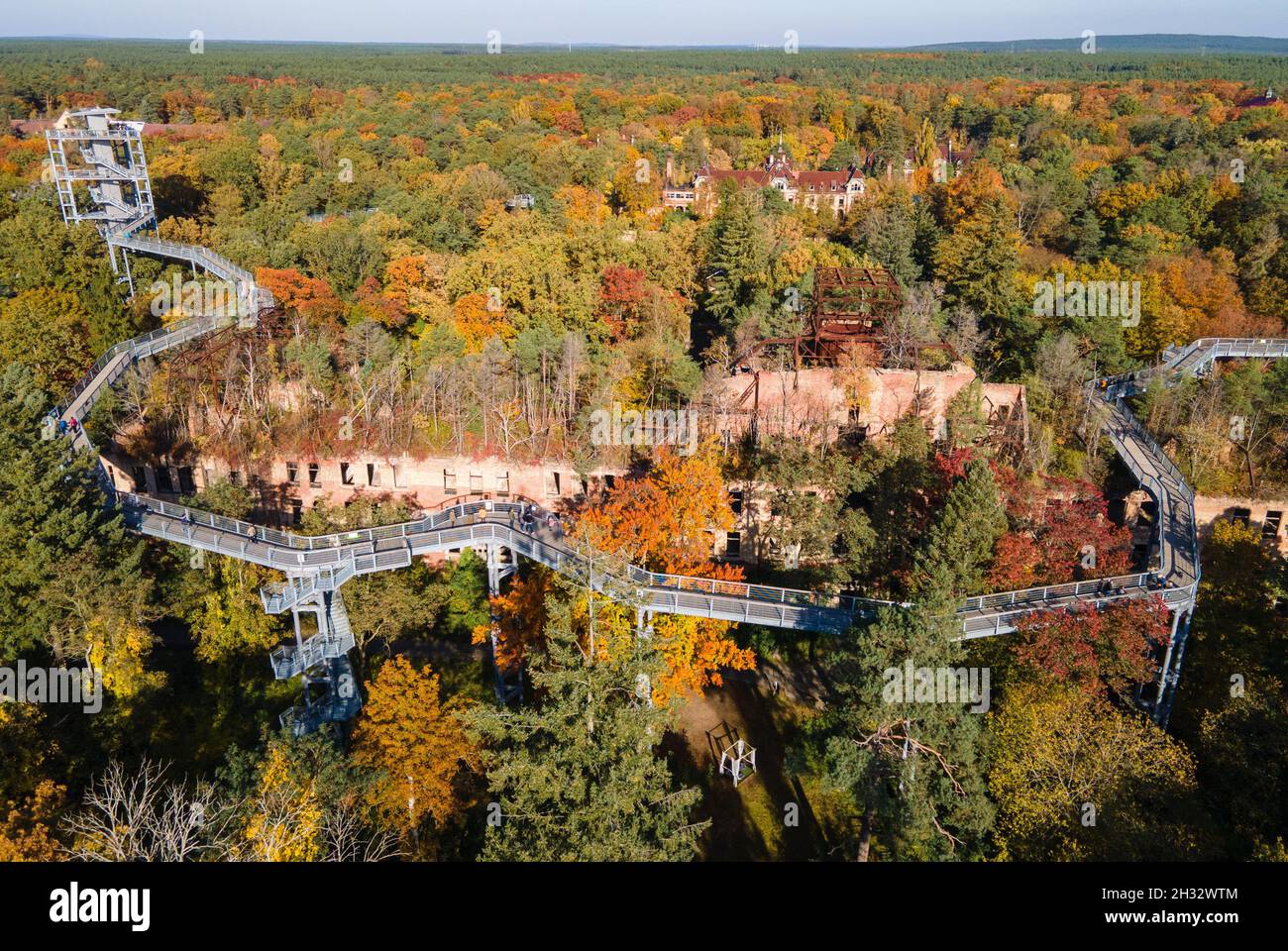 Beelitz, Germania. 25 ottobre 2021. I visitatori camminano con il tempo soleggiato lungo il sentiero "albero e tempo" tra gli alberi colorati in autunno. Il sentiero lungo 320 metri si trova sui terreni degli ex sanatori polmonari di Beelitz-Heilstätten. Dalla costruzione in acciaio e legno sopra le cime degli alberi, i visitatori possono vedere gli edifici elencati e il parco. (Vista aerea con un drone) Credit: Monika Skolimowska/dpa-Zentralbild/ZB/dpa/Alamy Live News Foto Stock