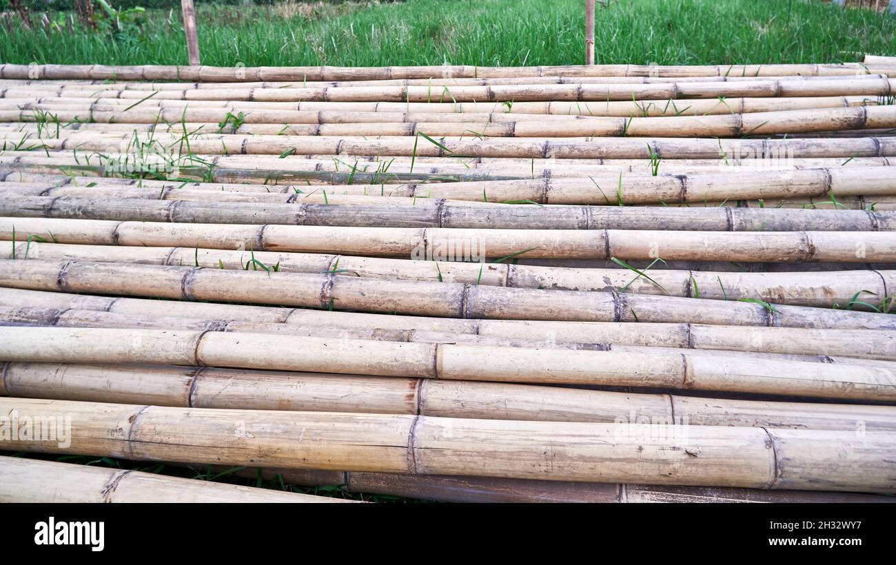 pila di bambù pronto per essere usato come materiale di costruzione Foto Stock