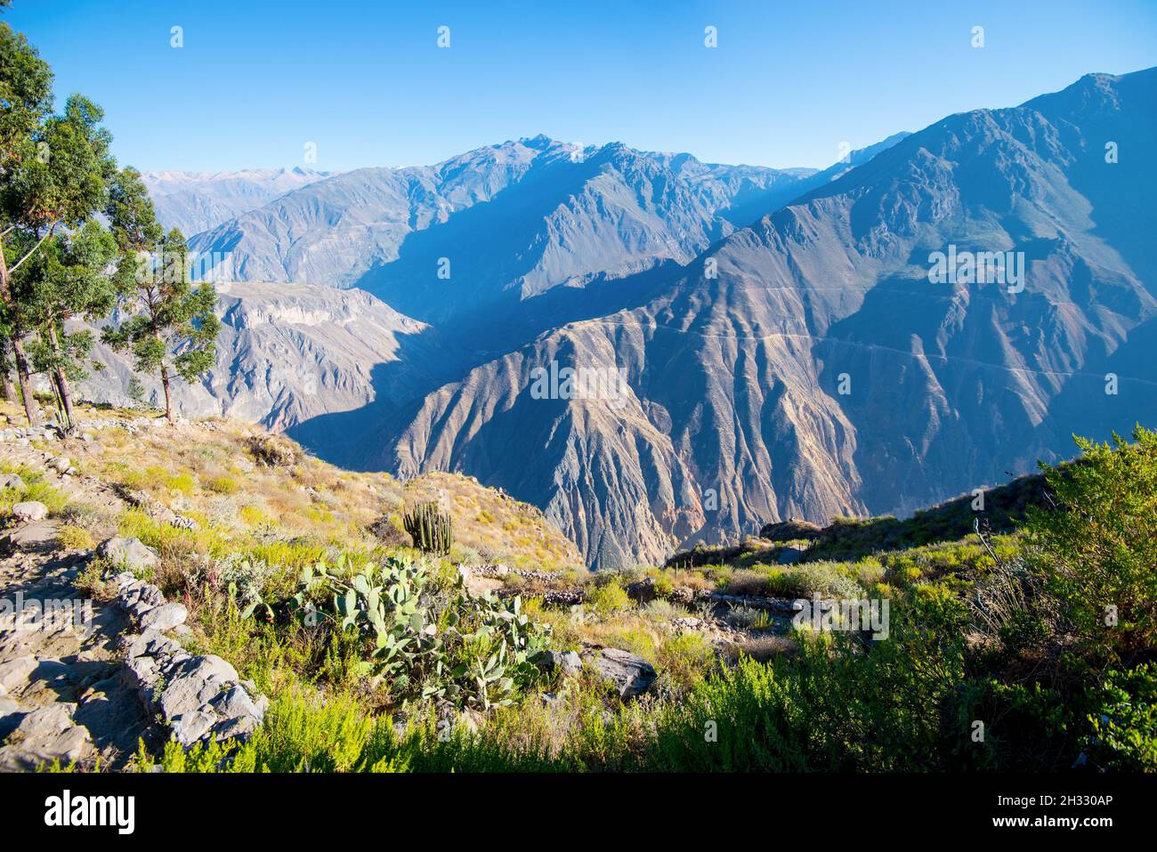 Canyon del fiume Colca nel Perù meridionale. Foto Stock
