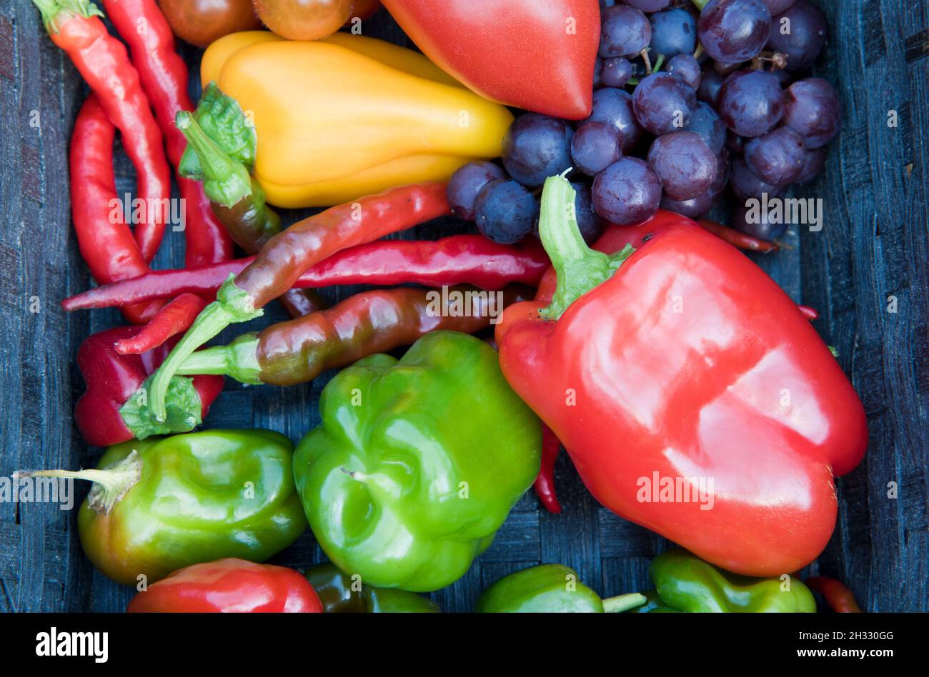 Cestino di frutta e verdure miste, tutti coltivati in serra, compresi pomodori, peperoni dolci, peperoncini e uva. Foto Stock