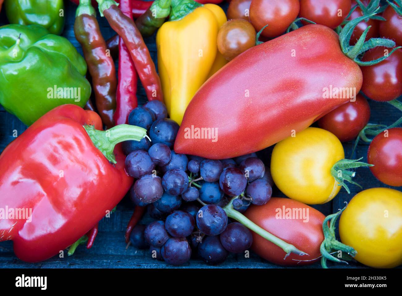 Cestino di frutta e verdure miste, tutti coltivati in serra, compresi pomodori, peperoni dolci, peperoncini e uva. Foto Stock
