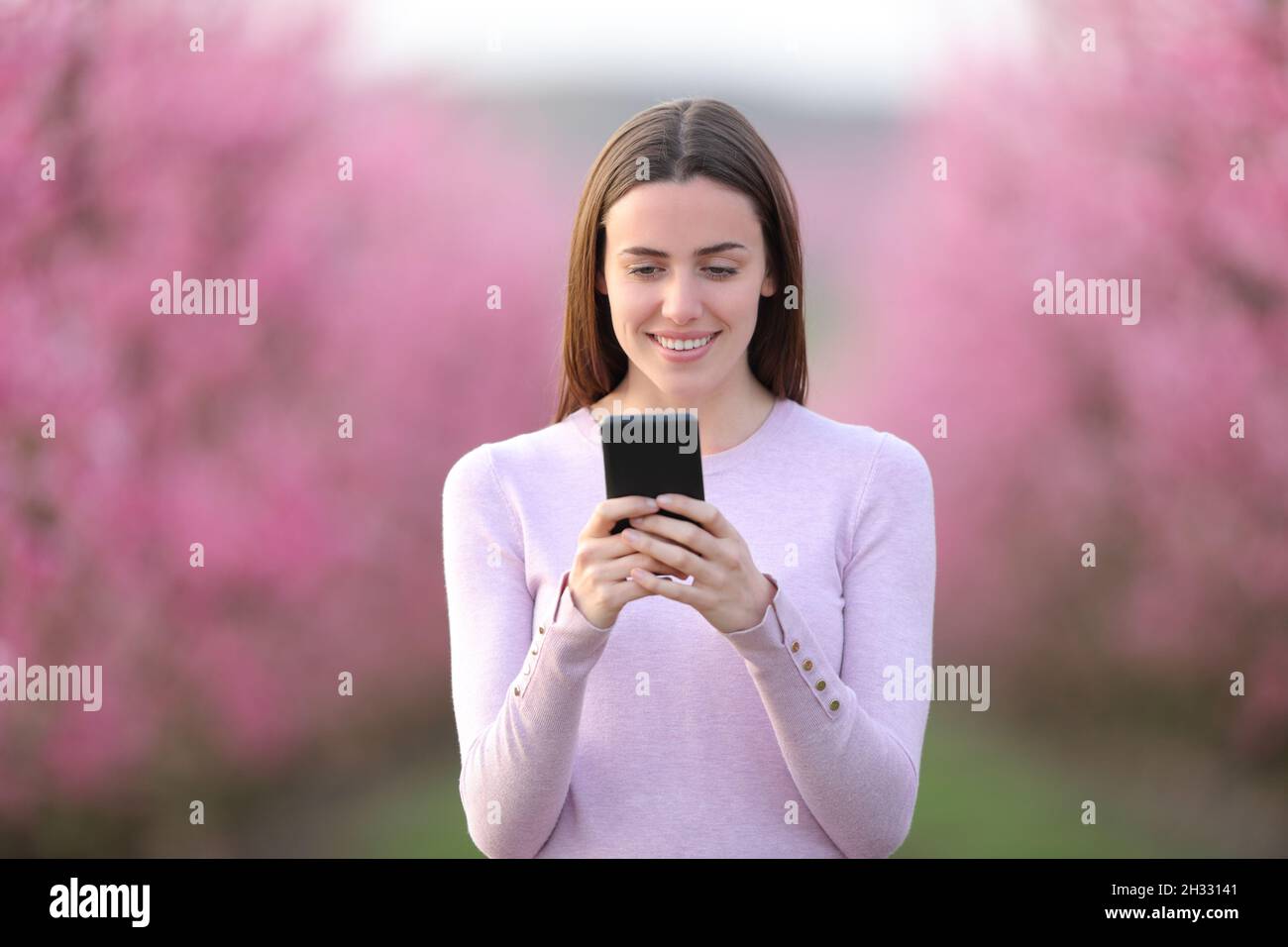 Vista frontale ritratto di una donna felice che legge messaggio al telefono in un campo Foto Stock