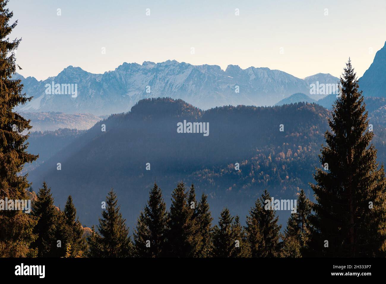 Foresta di montagna in autunno con montagne sullo sfondo Foto Stock